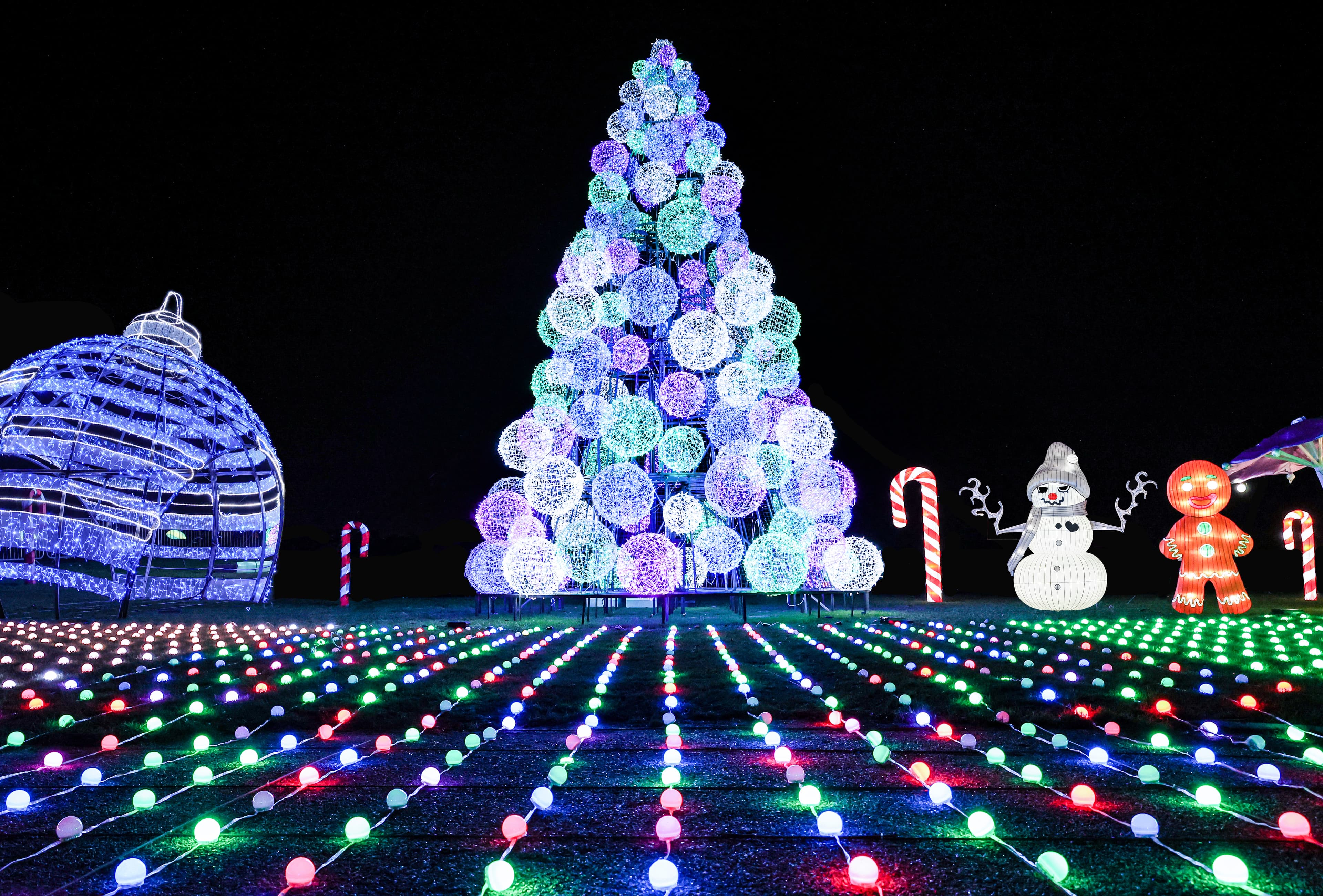 Lightopia London - Photo 1