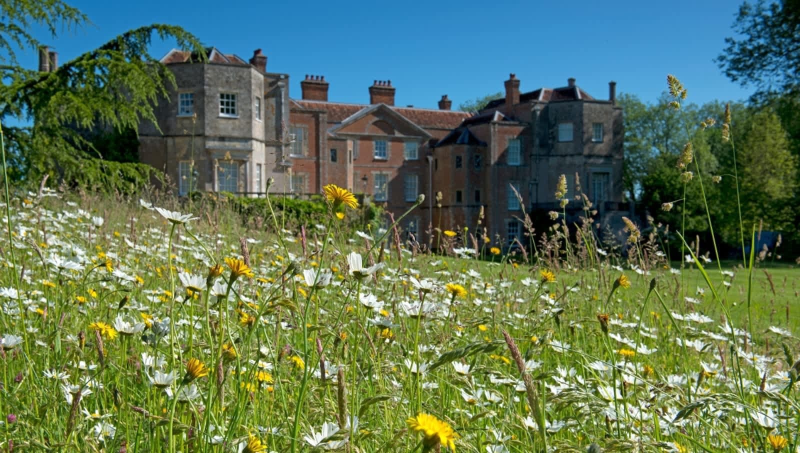 Mottisfont - Photo 1