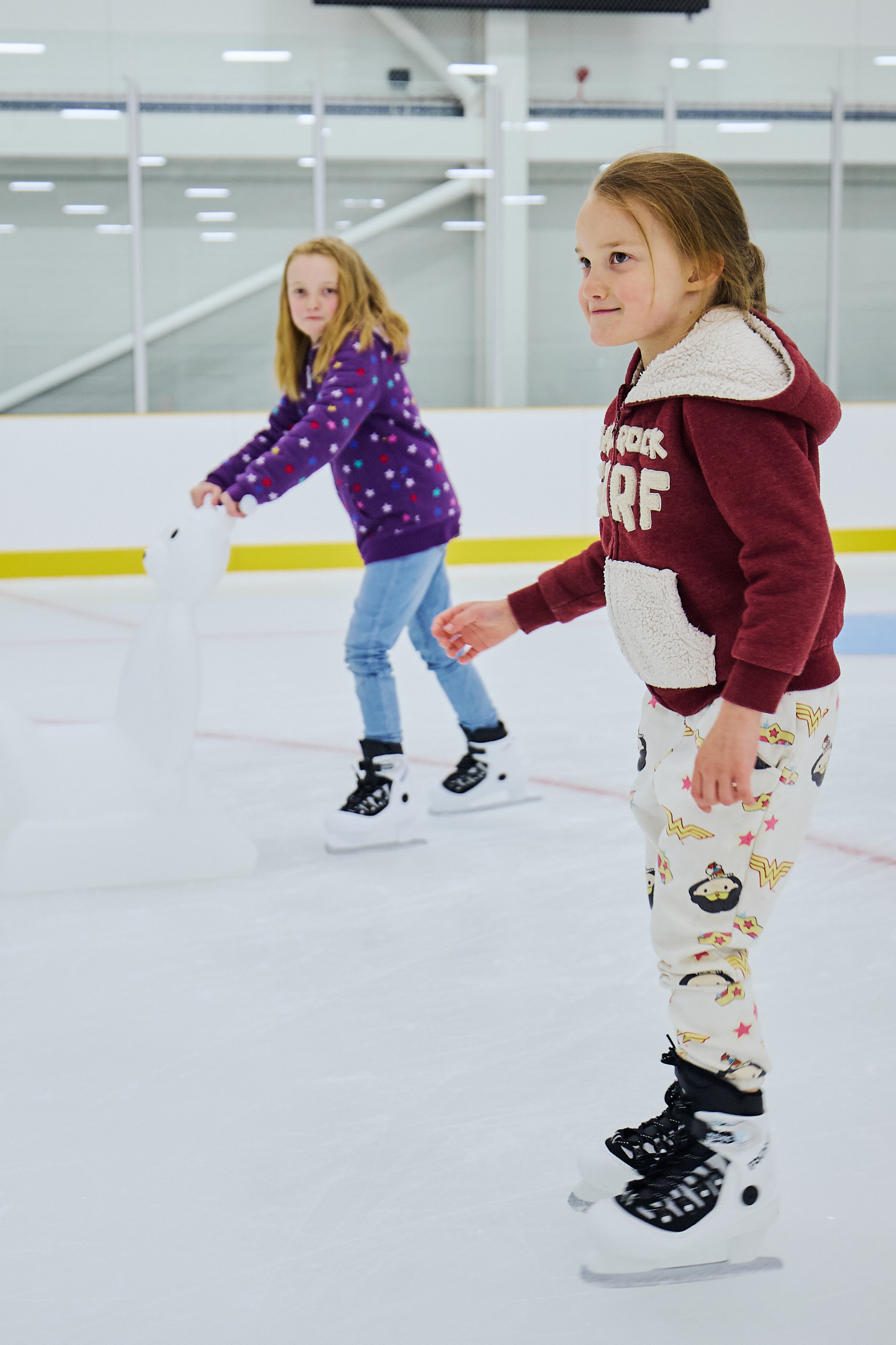 Lee Valley Ice Centre - Photo