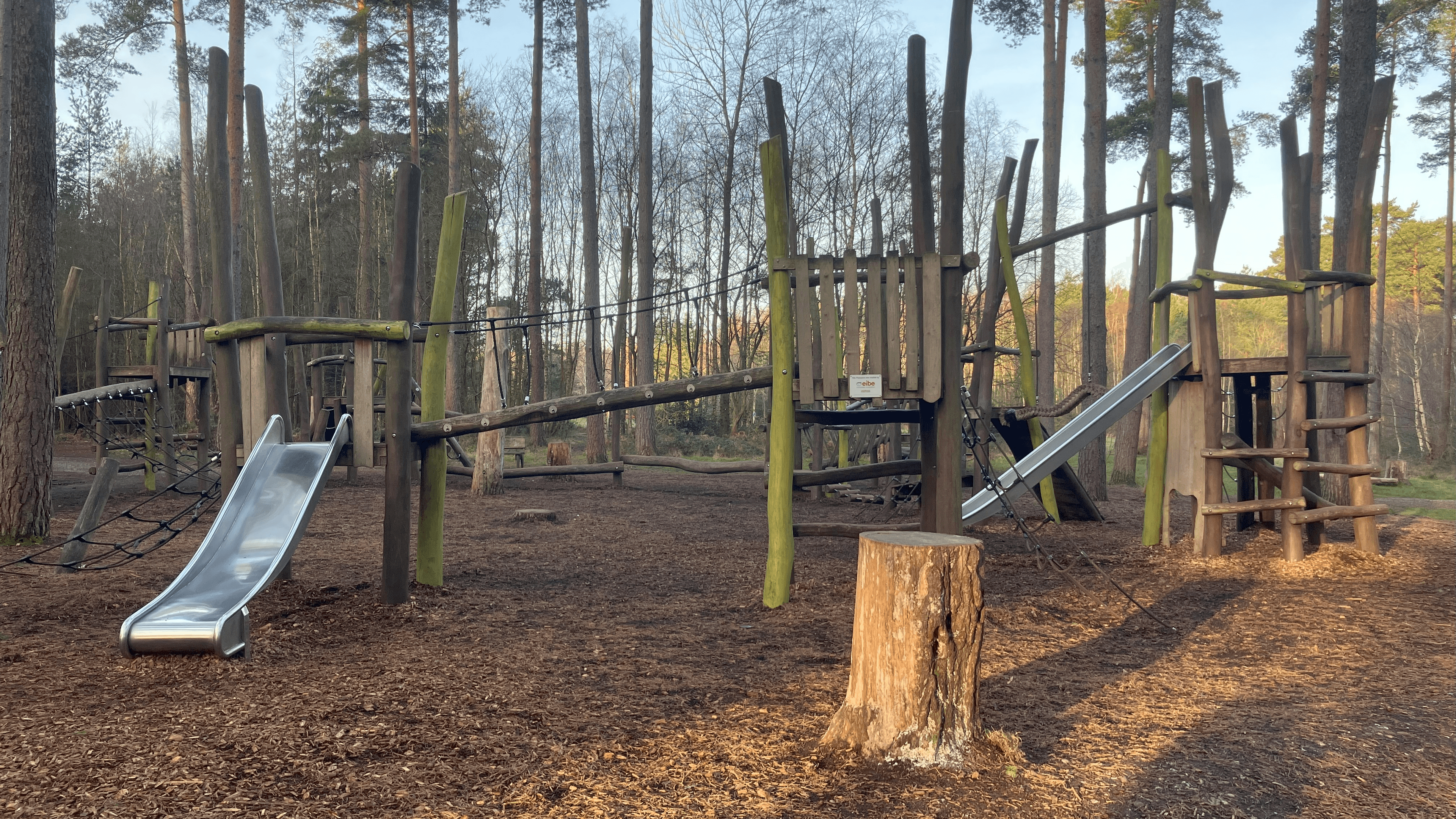 Alice Holt Forest - Photo