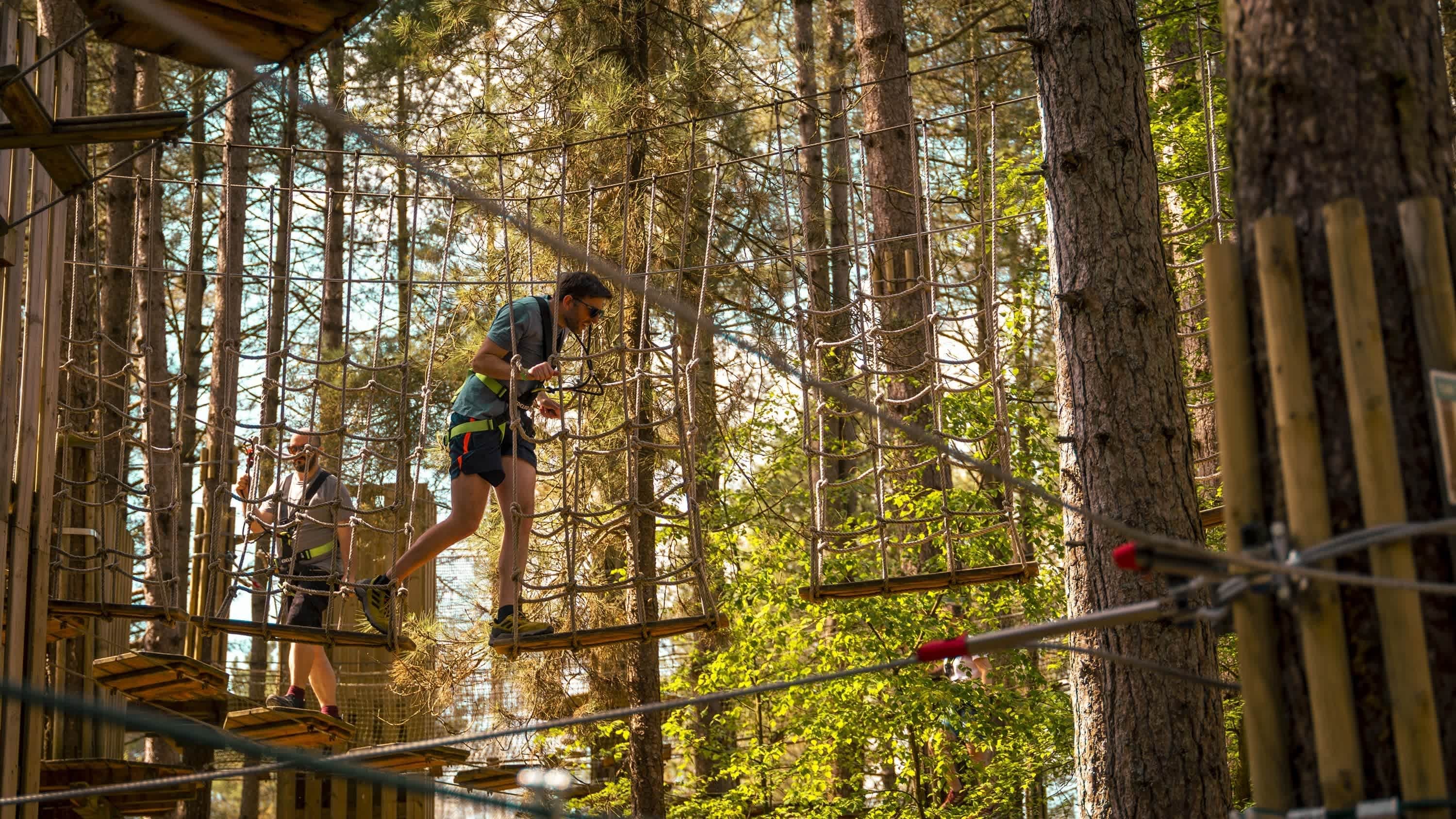 Go Ape Margam - Photo