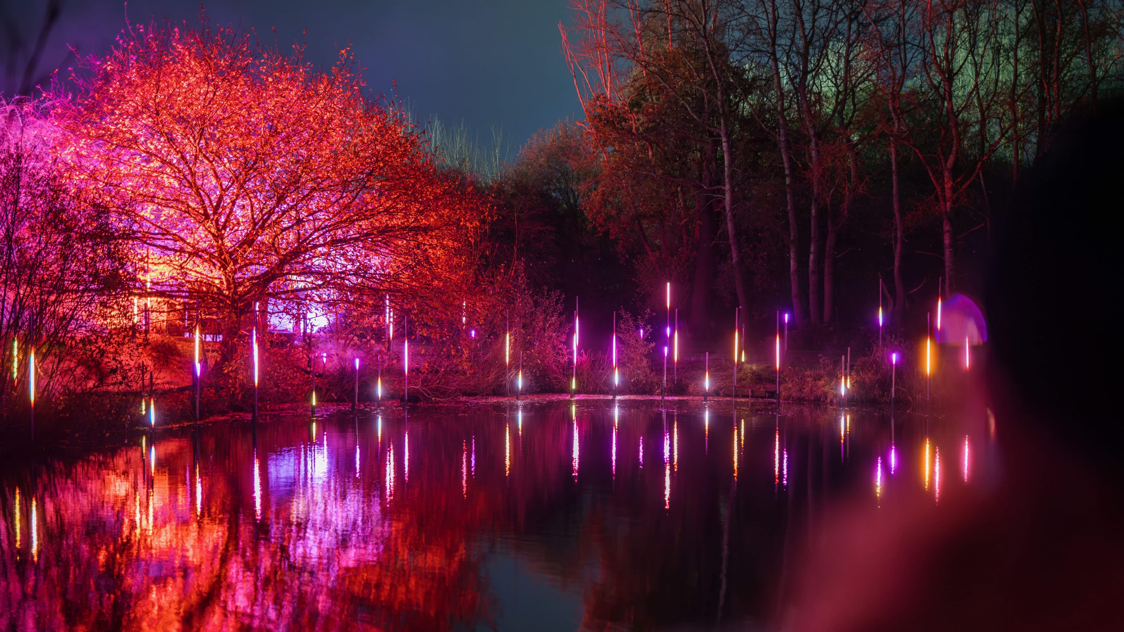 Light Cycles - Photo