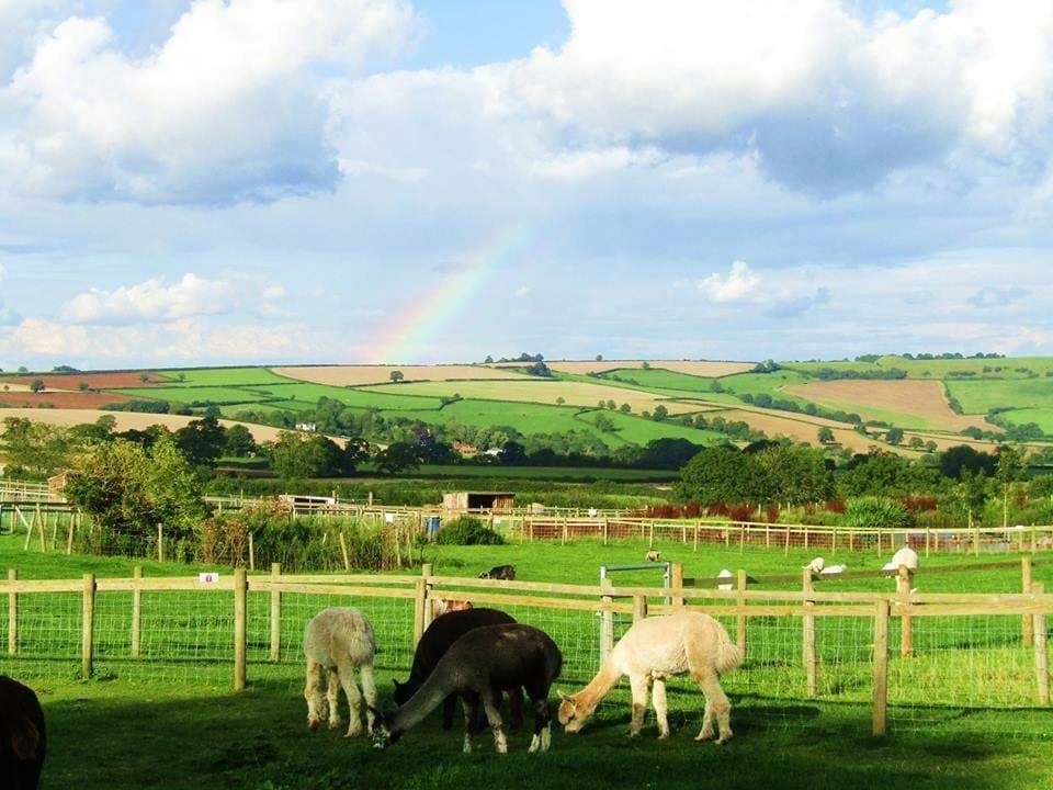 Chew Valley Animal Park - Photo 1