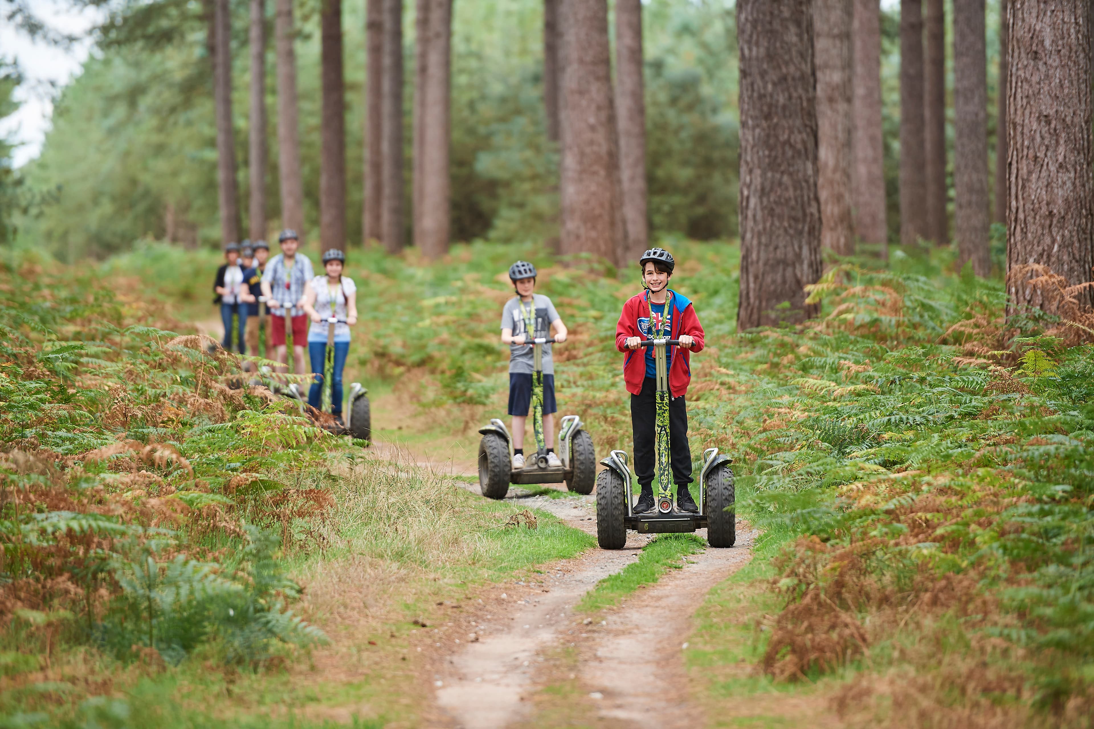 Go Ape Whinlatter - Photo