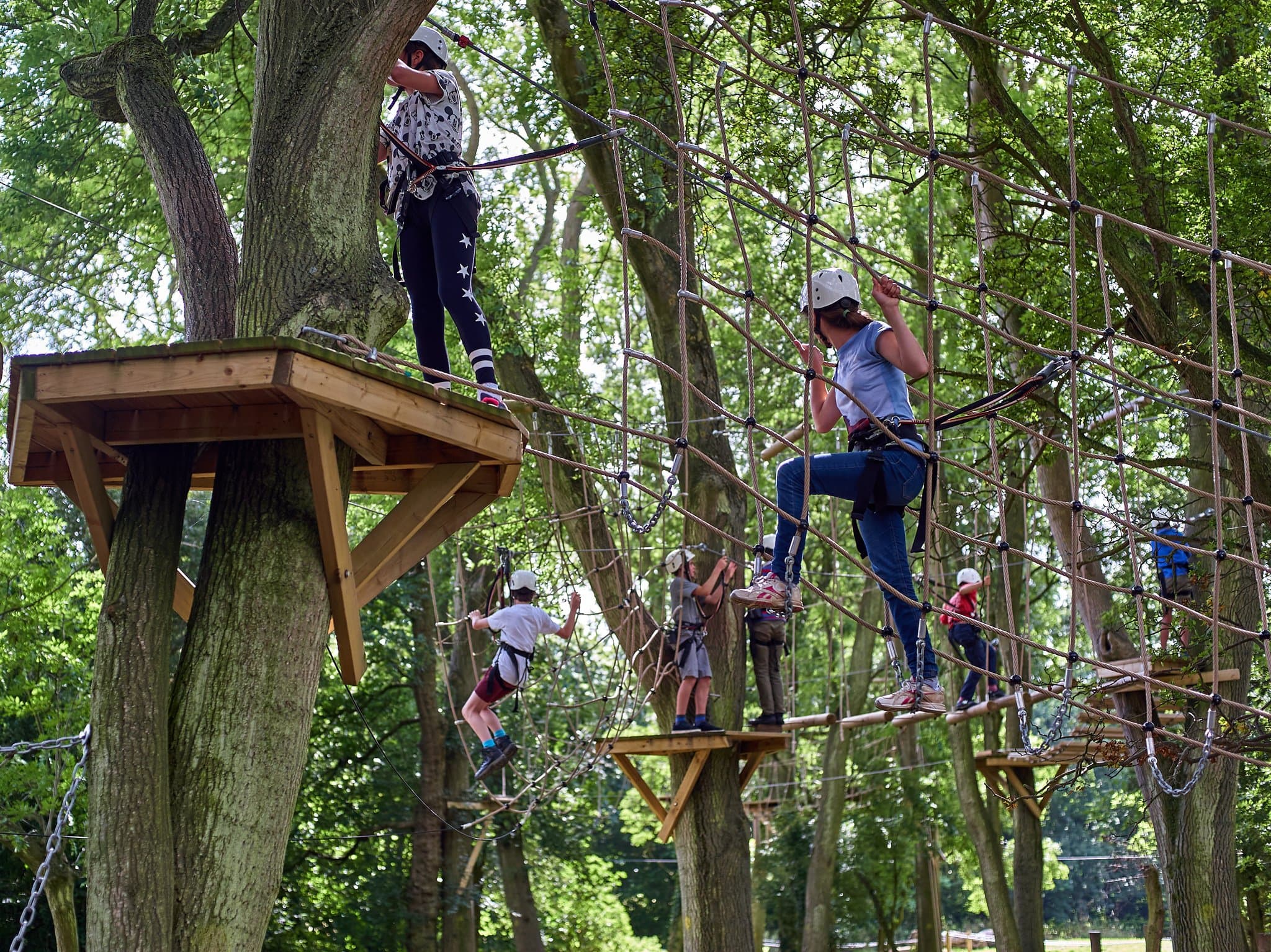 Mojo Active High Ropes Adventure