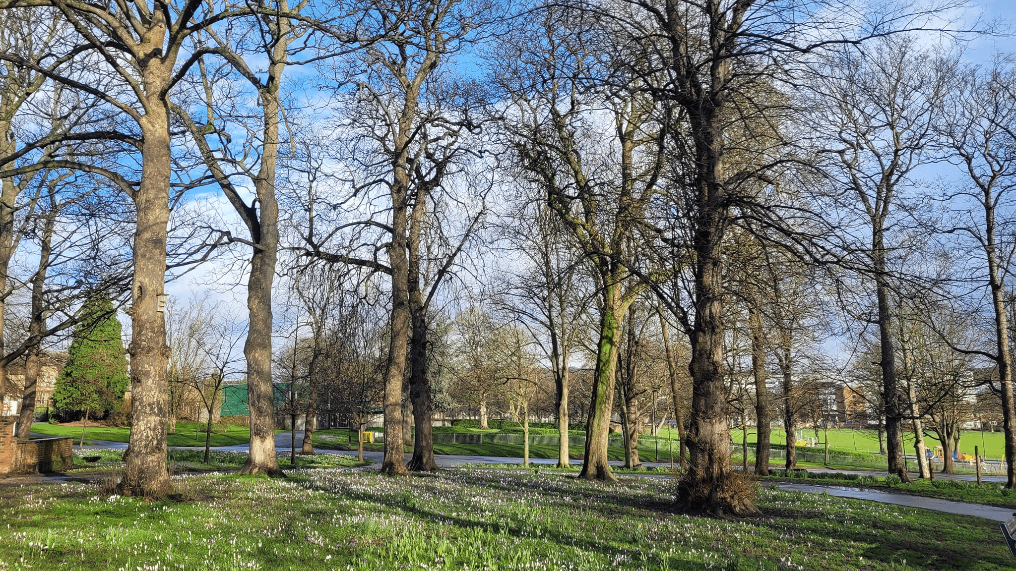 Hillsborough Park - Photo