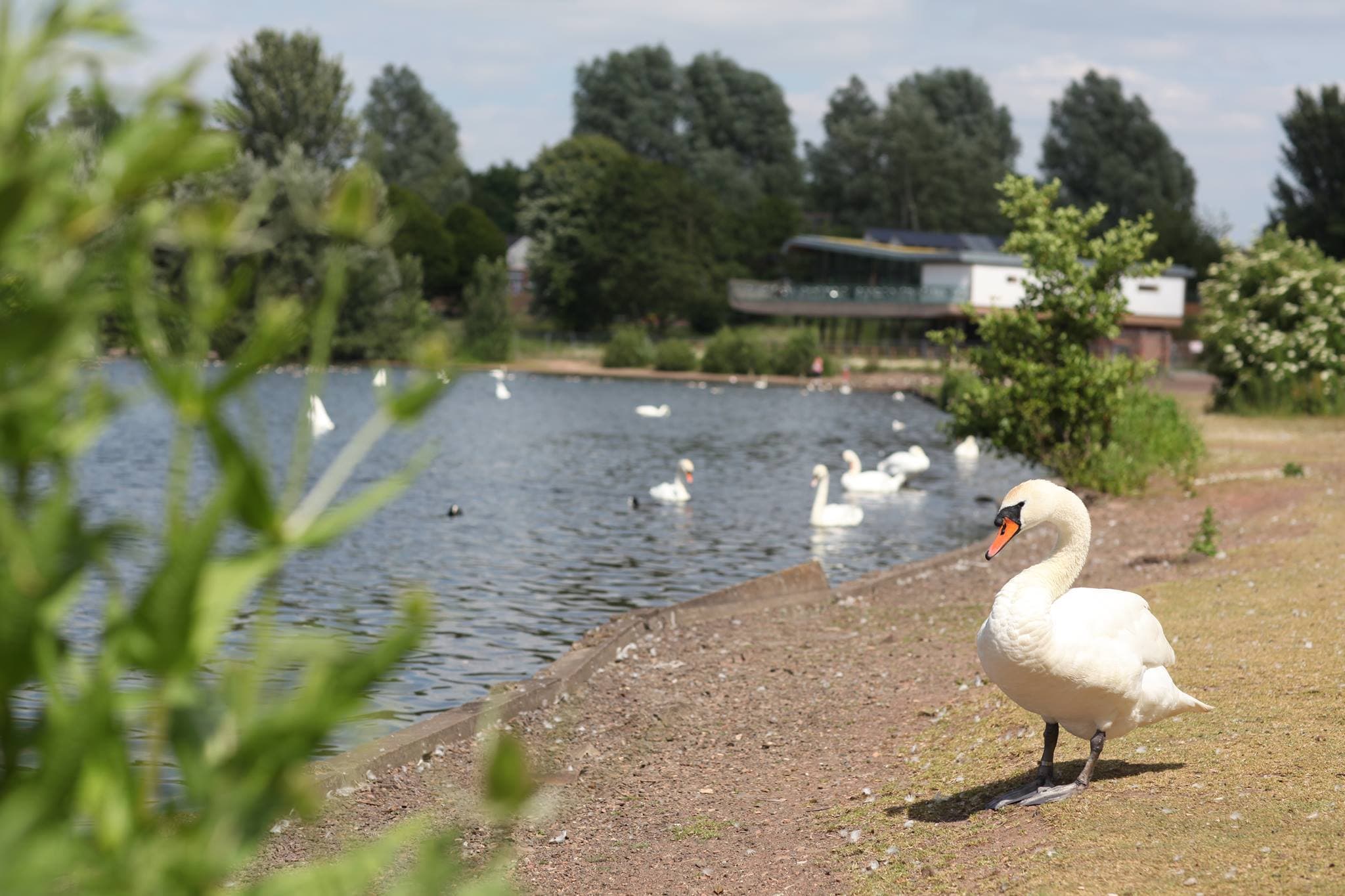 Westport Lake Play Area - Photo 1