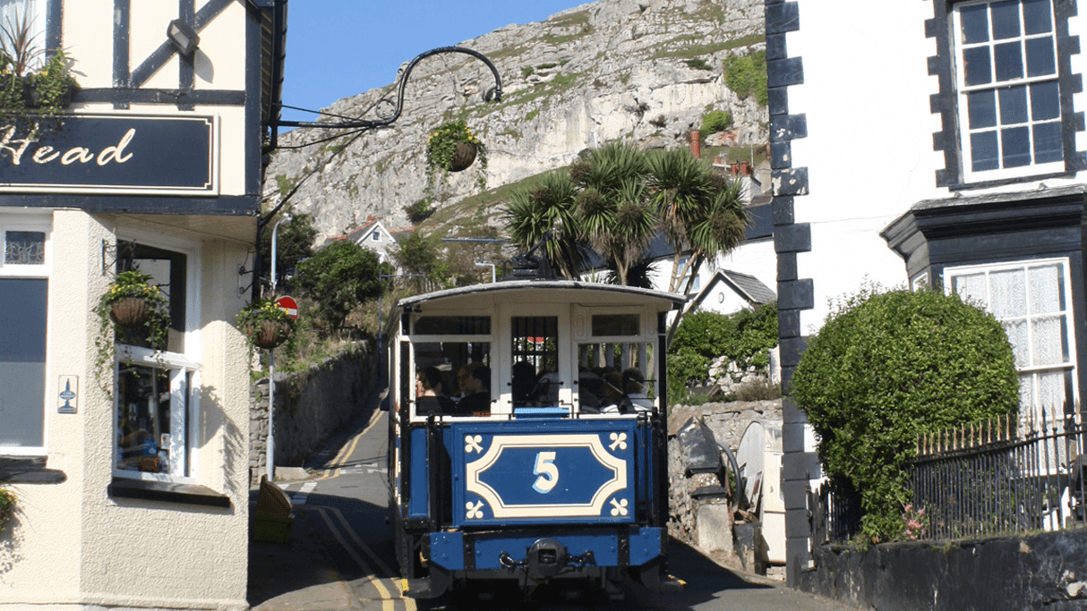 Curious About Llandudno - Photo