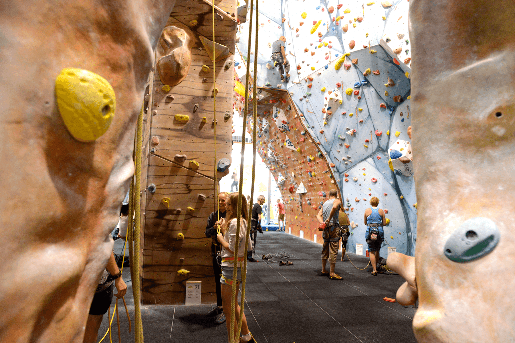 Blue Spider Climbing Centre Guildford - Photo