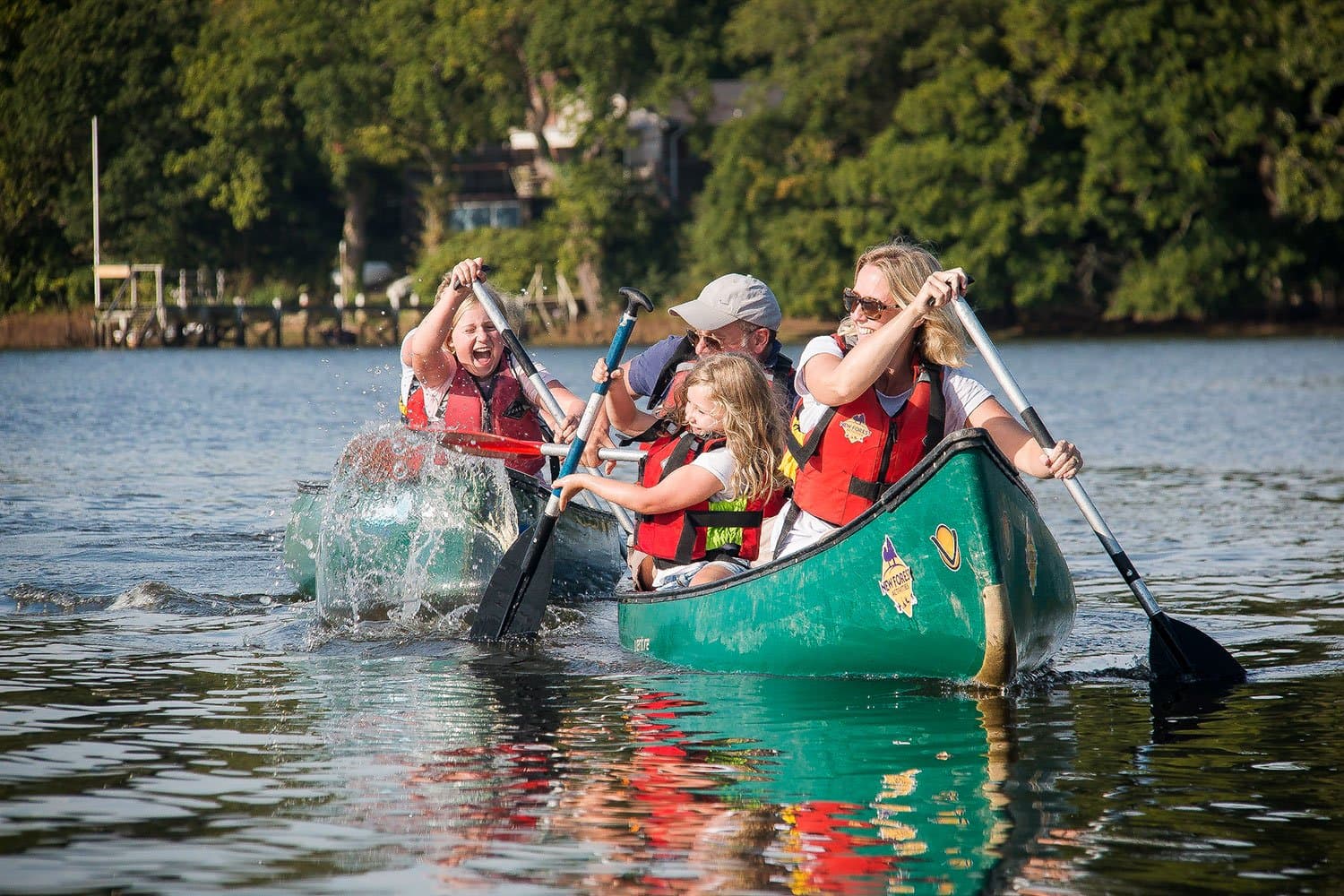 New Forest Activities - Photo 1