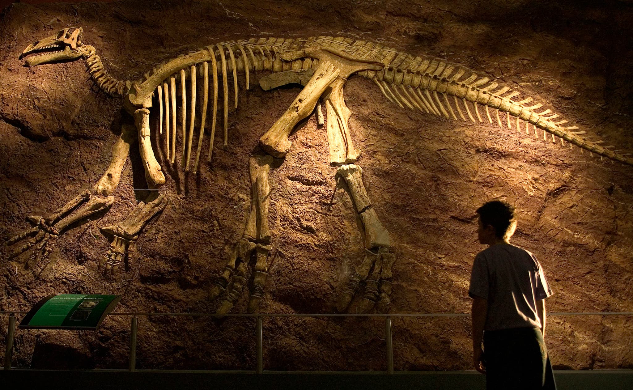 Dinosaur Isle - Photo 1