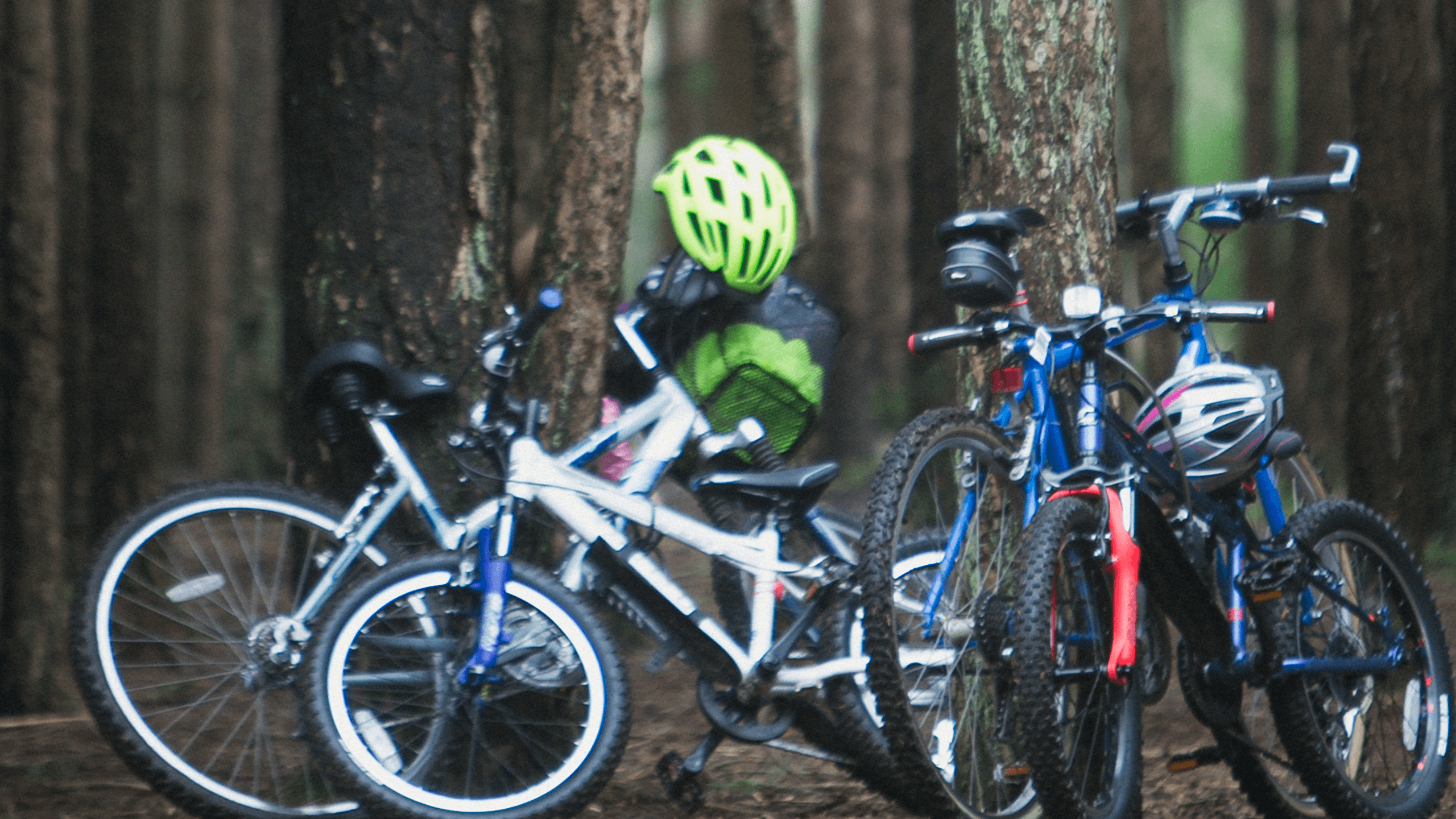 Moors Valley Country Park - Photo