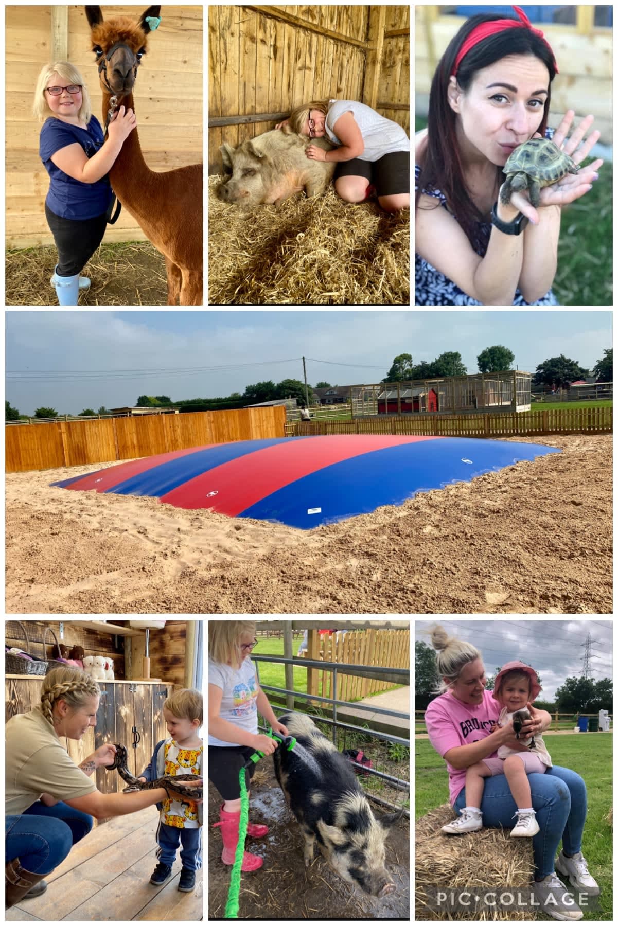 Burntwood Alpaca and Animal Experience - Photo