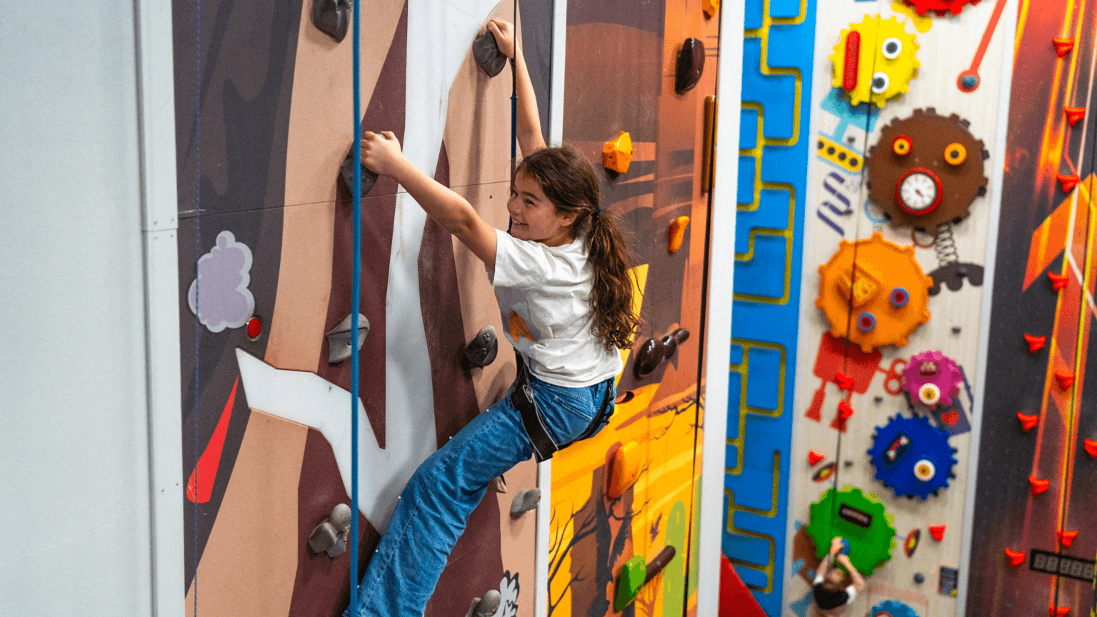 Crazy Climb Bristol