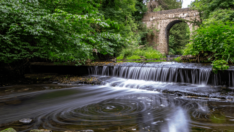 Jesmond Dene Newcastle
