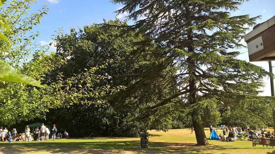 Bedford Park - Photo 1