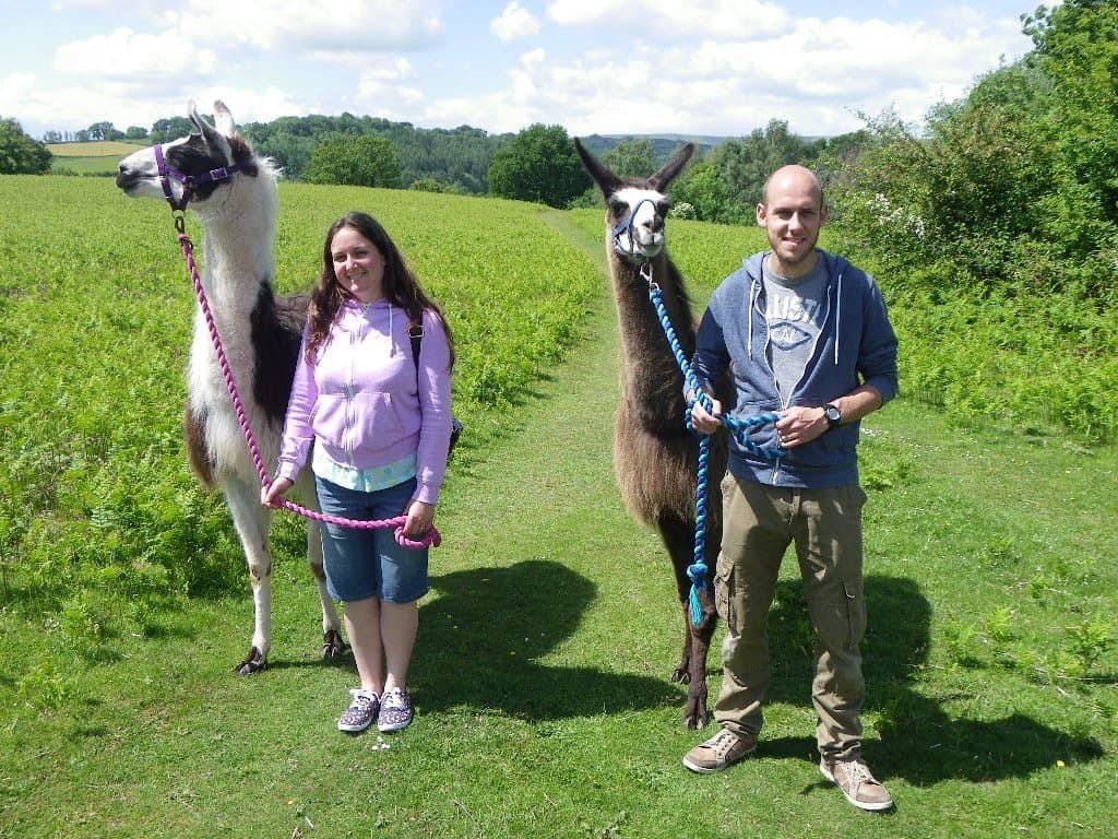 Llama Trekking at Old King Street Farm - Photo