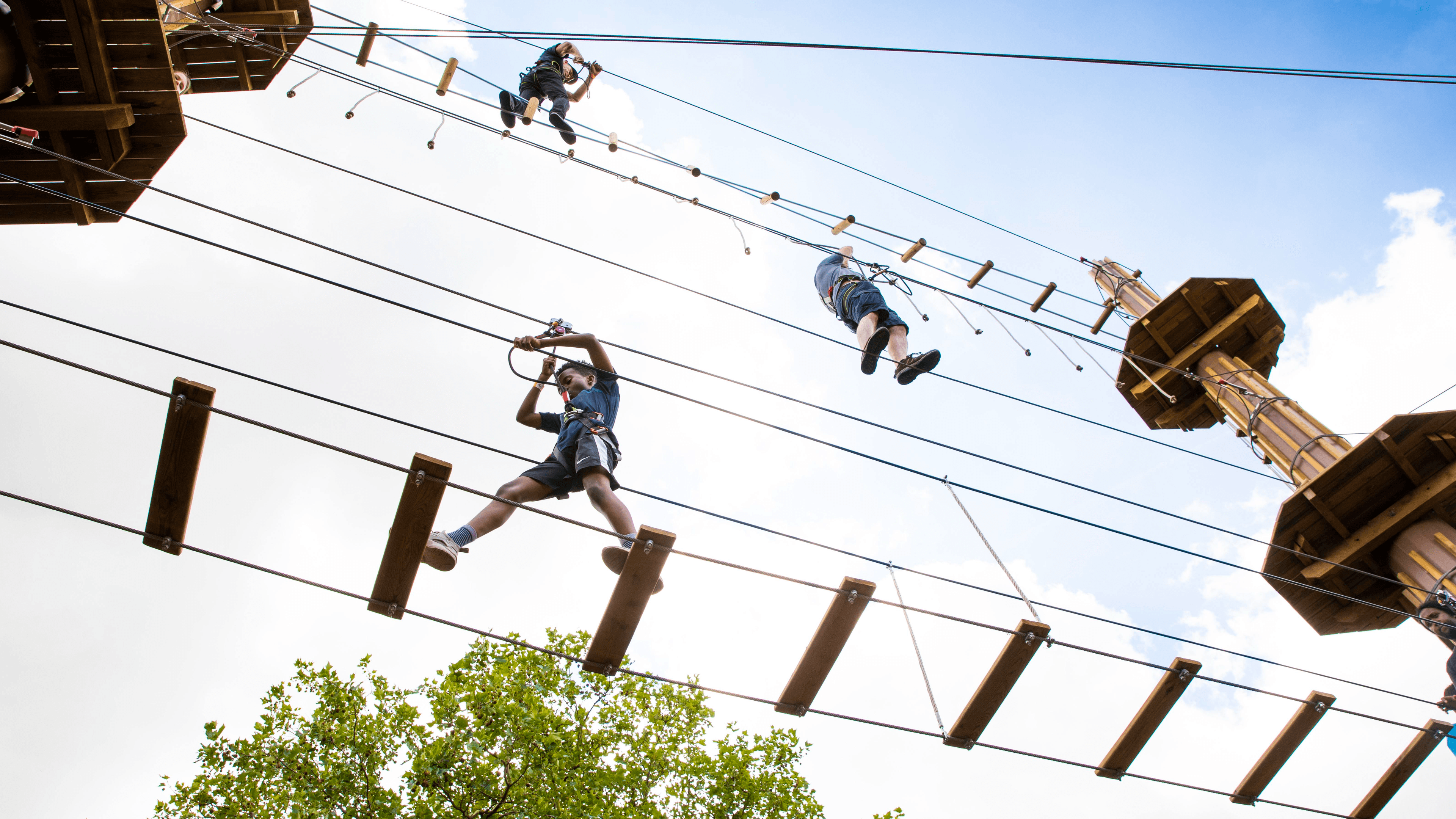 Go Ape Alexandra Palace - Photo