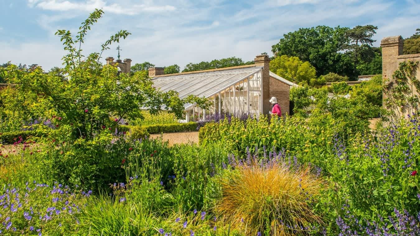 Holkham Hall & Woodland Play Area - Photo