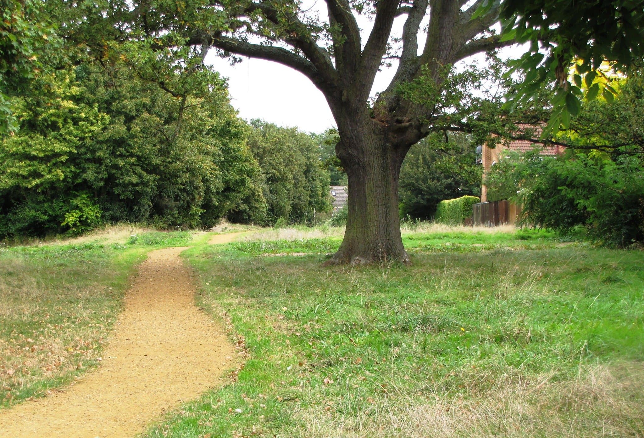 Westmorland Park - Photo