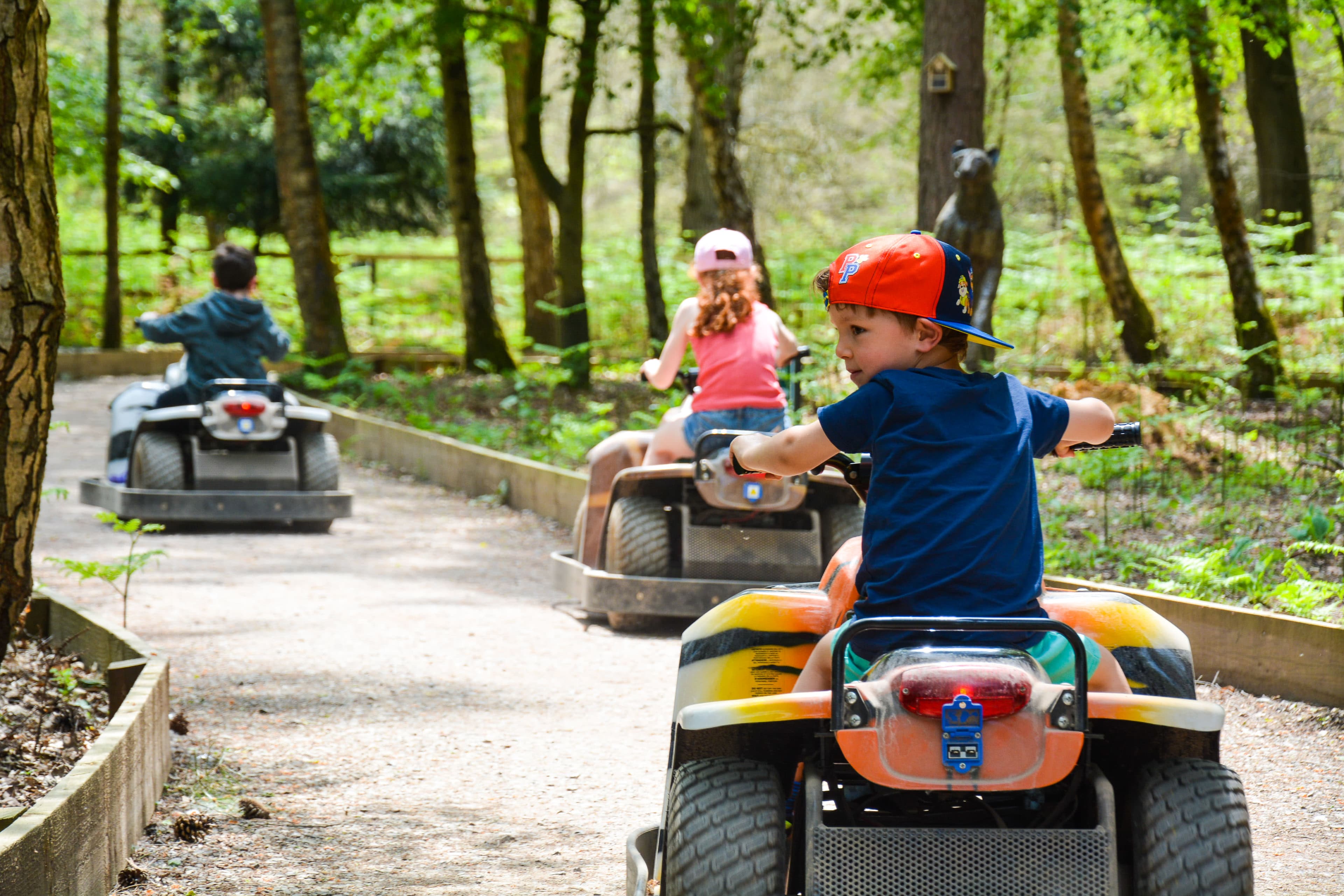 Wellington Country Park - Photo