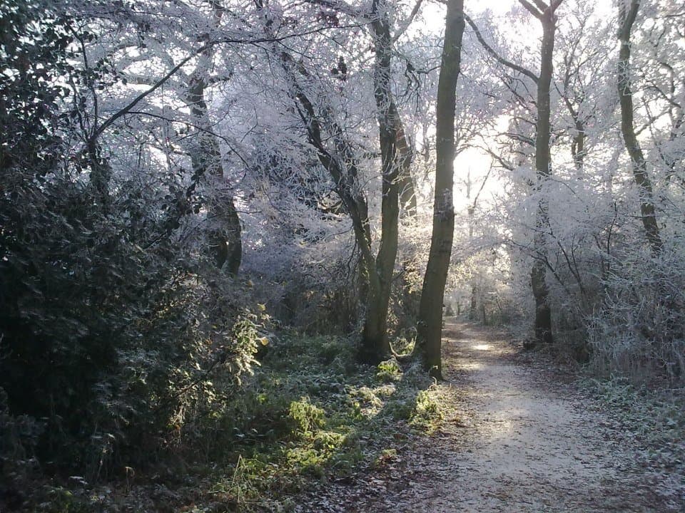 Worcester Woods Country Park - Photo
