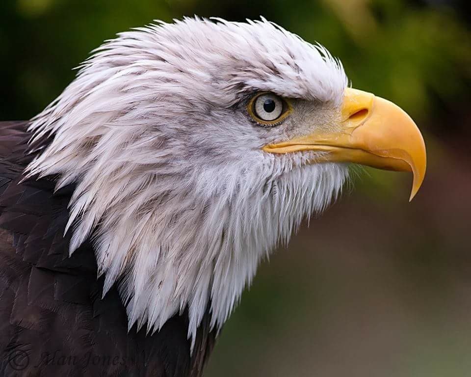World of Wings - Photo