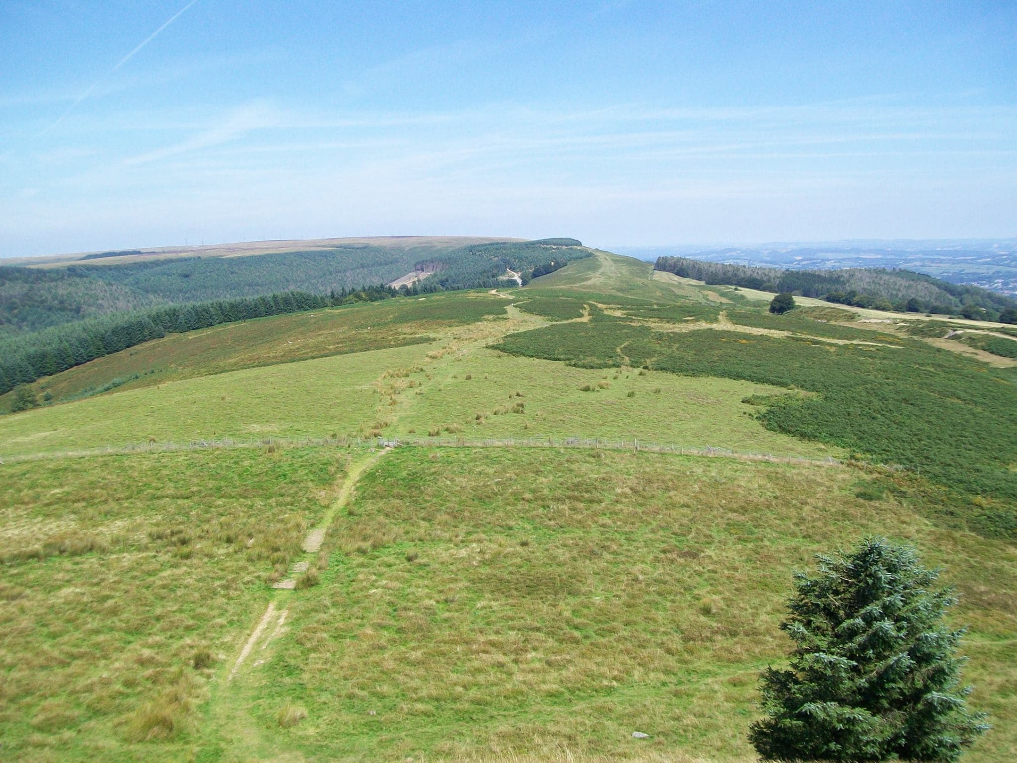Cwmcarn Forest - Photo