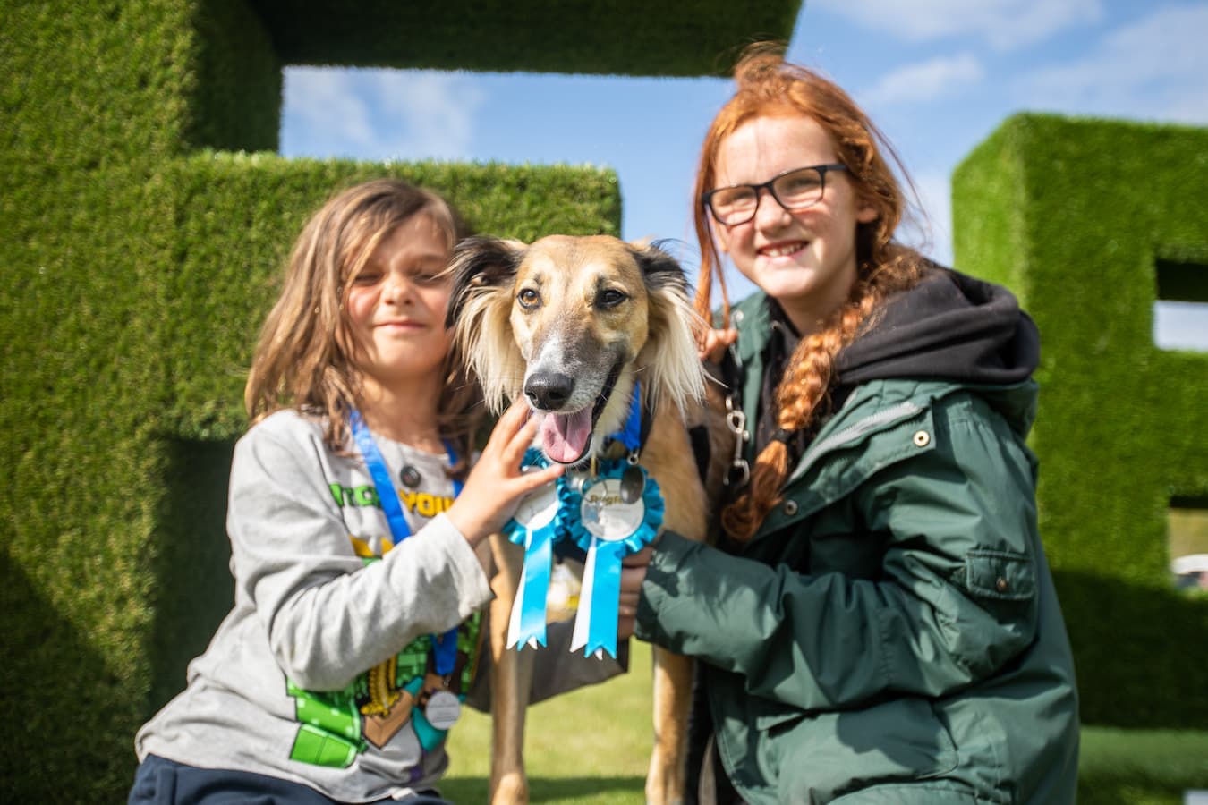 DogFest at Tatton Park
