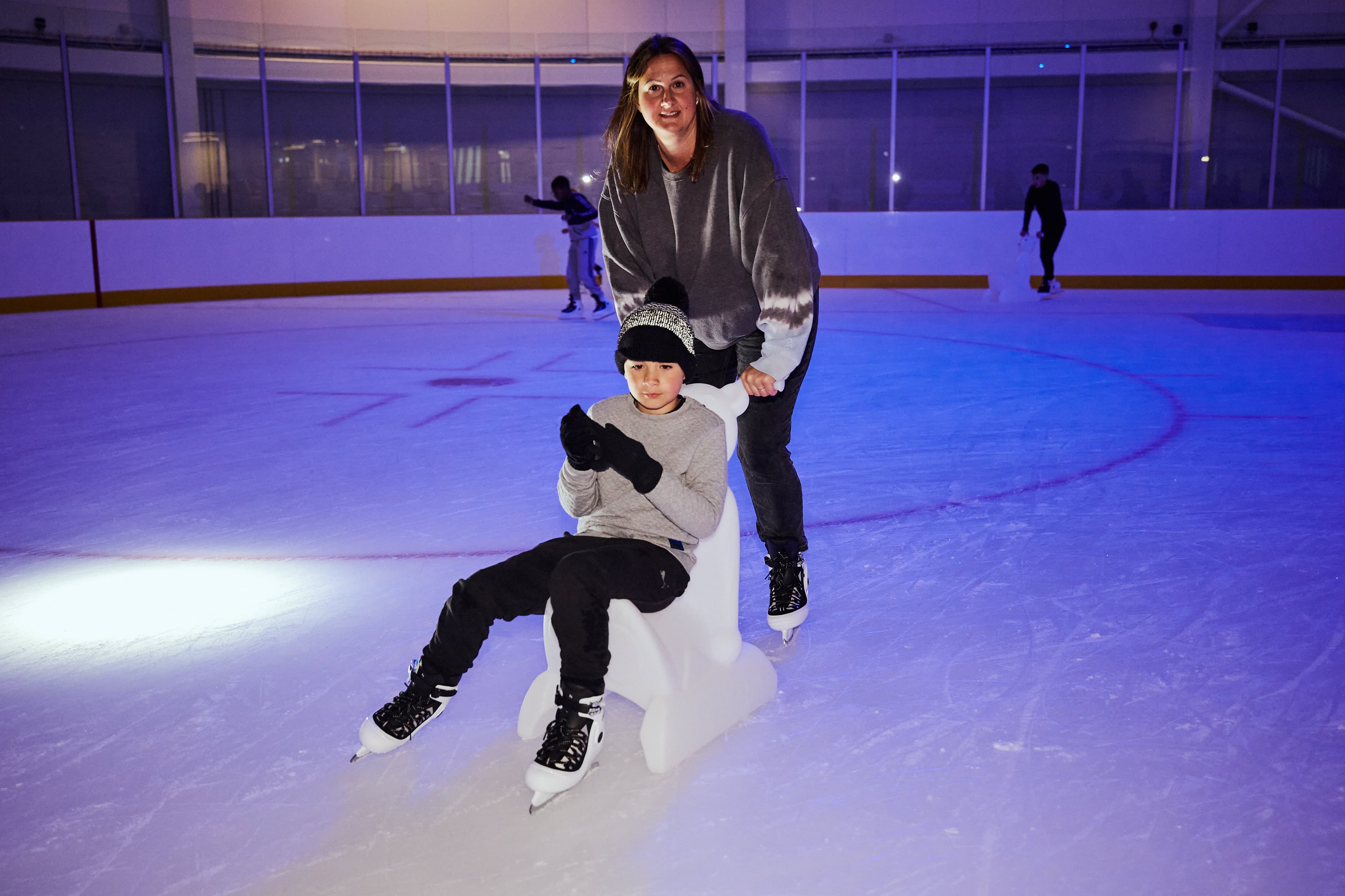 Lee Valley Ice Centre - Photo 1