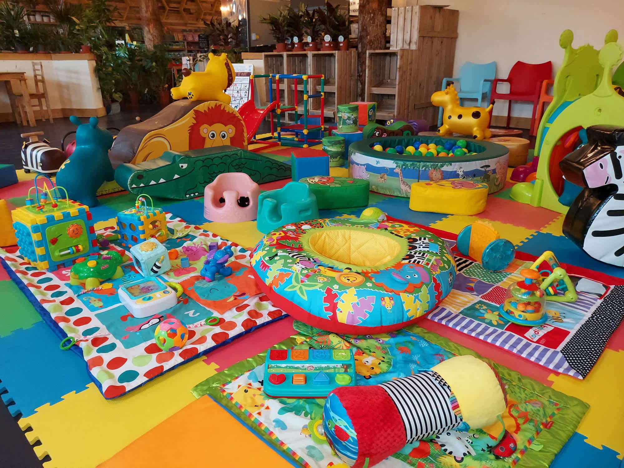 Mini Meadows Farm - Photo