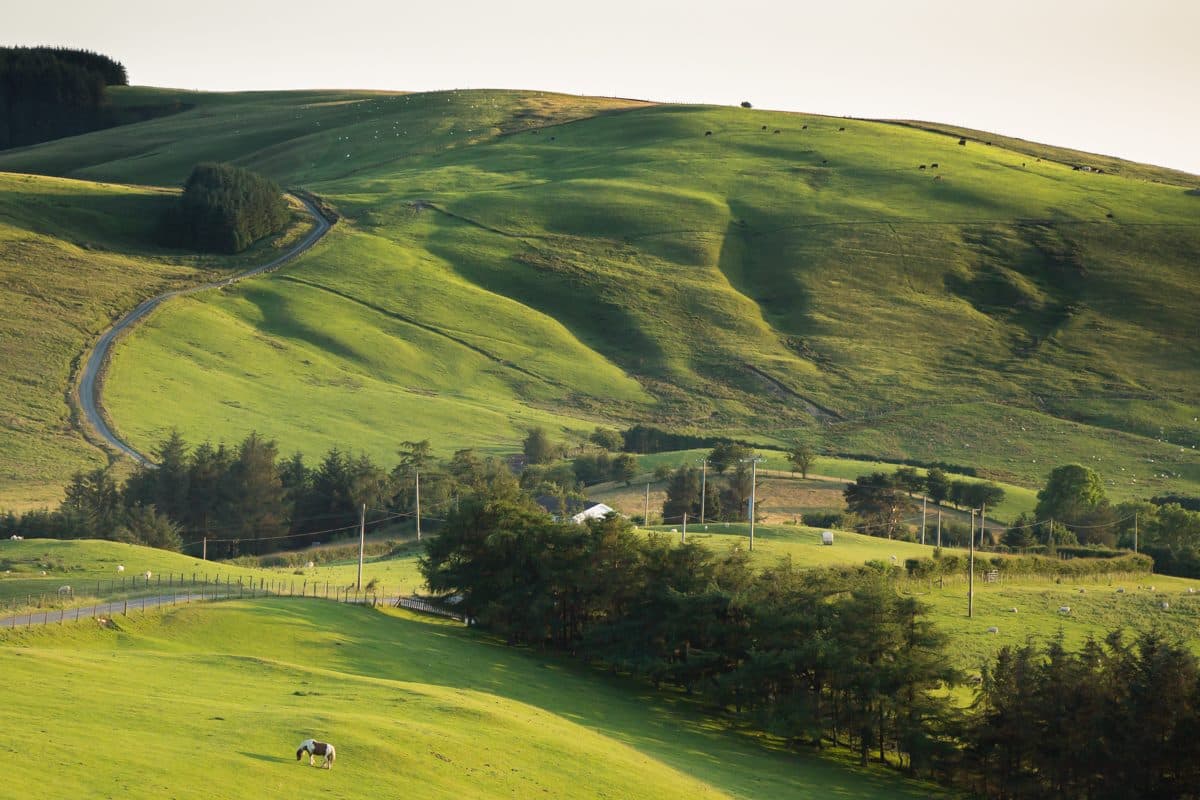 Glyndwrs Way National Trail
