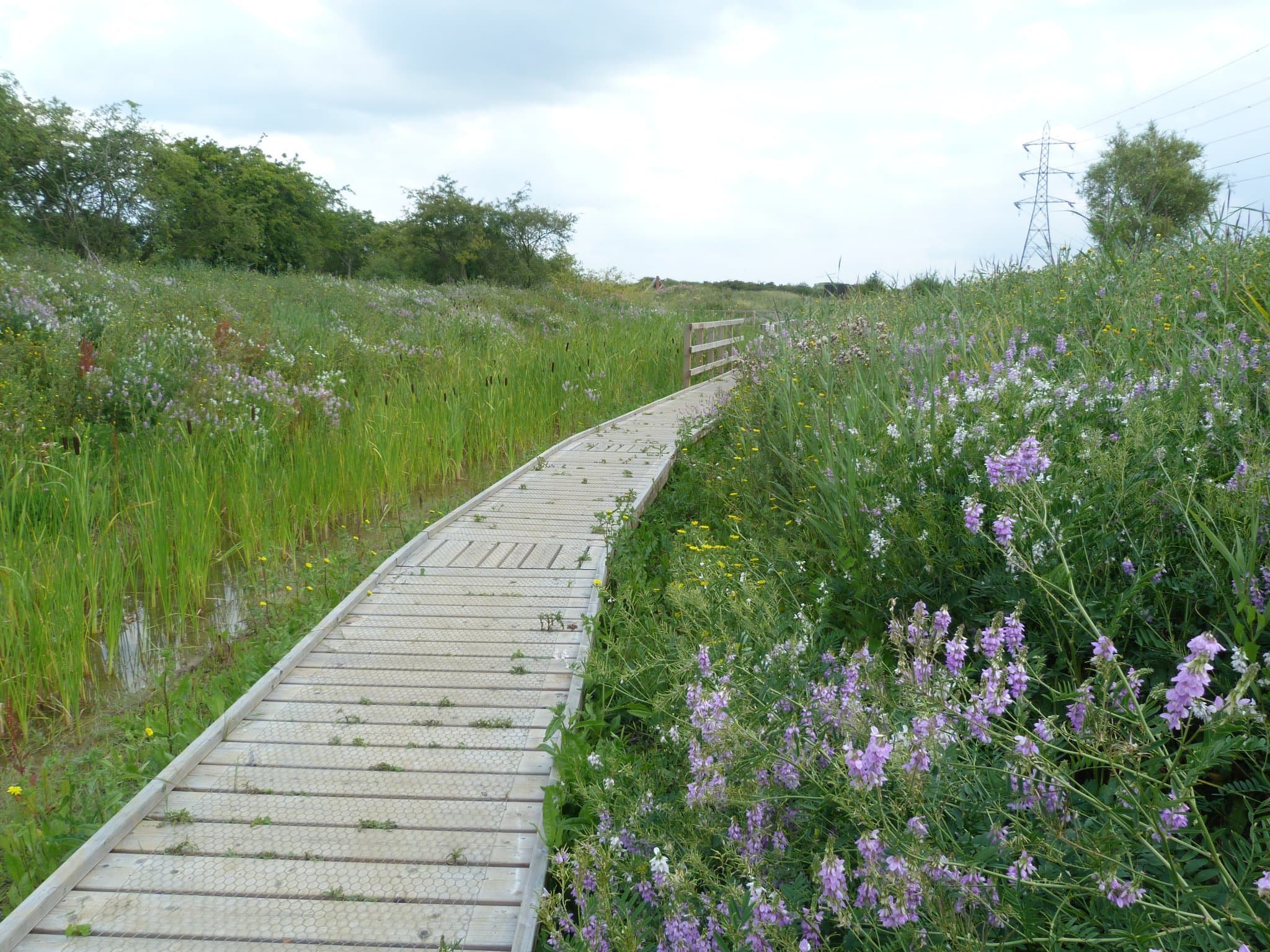 Wat Tyler Country Park