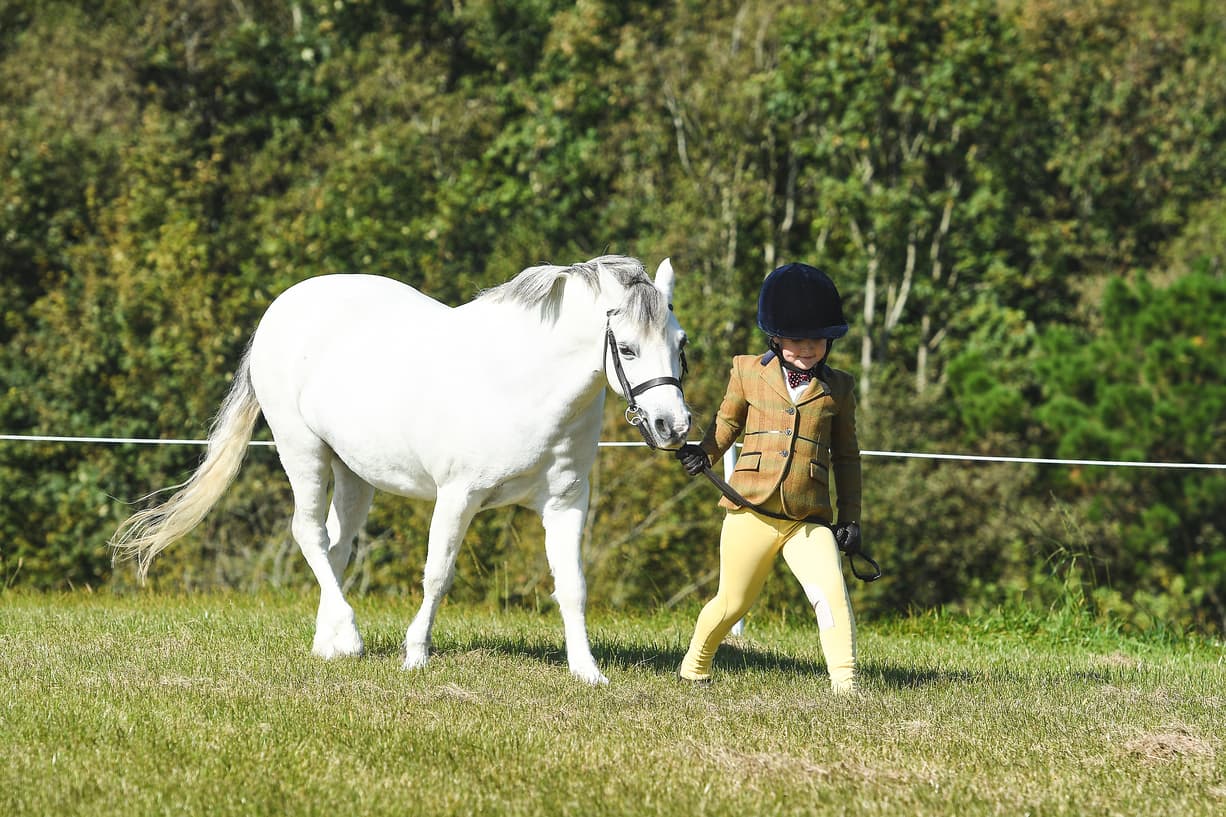 Horse Riding Cornwall - Photo