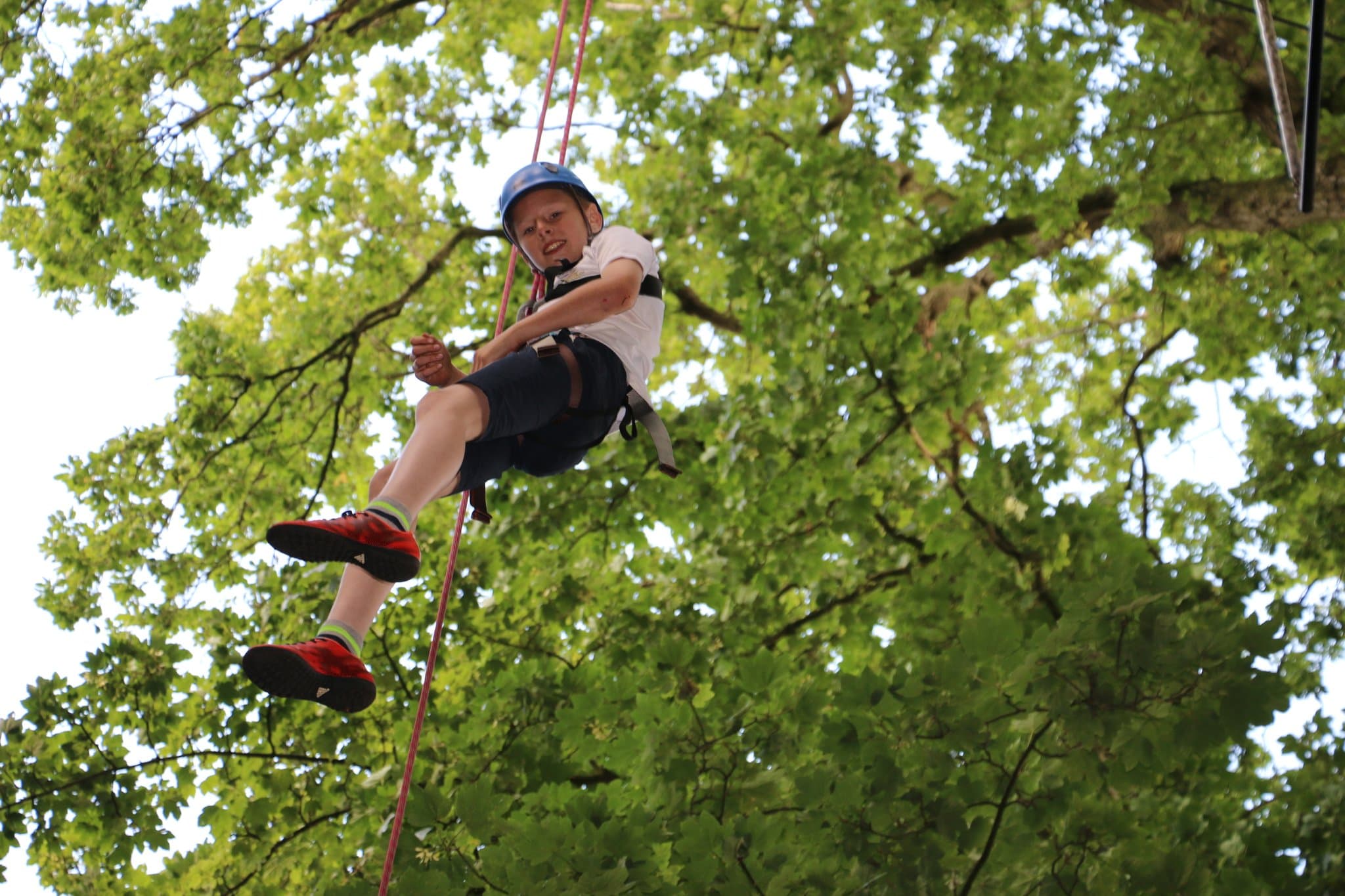 Live For Today Adventures Ripley - Photo 1