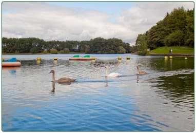 Lanark Loch - Photo 1
