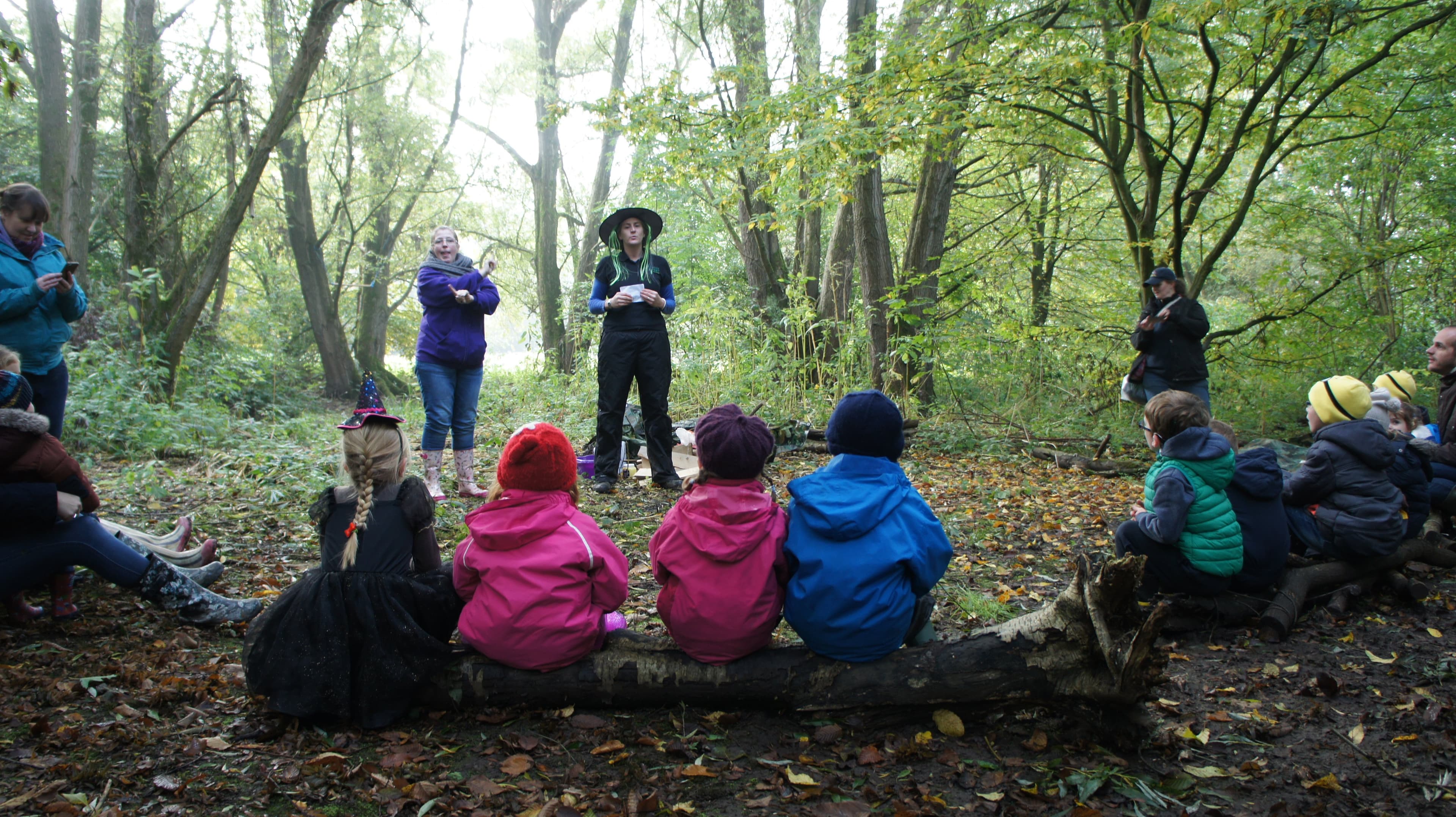 Evenley Wood Garden - Photo