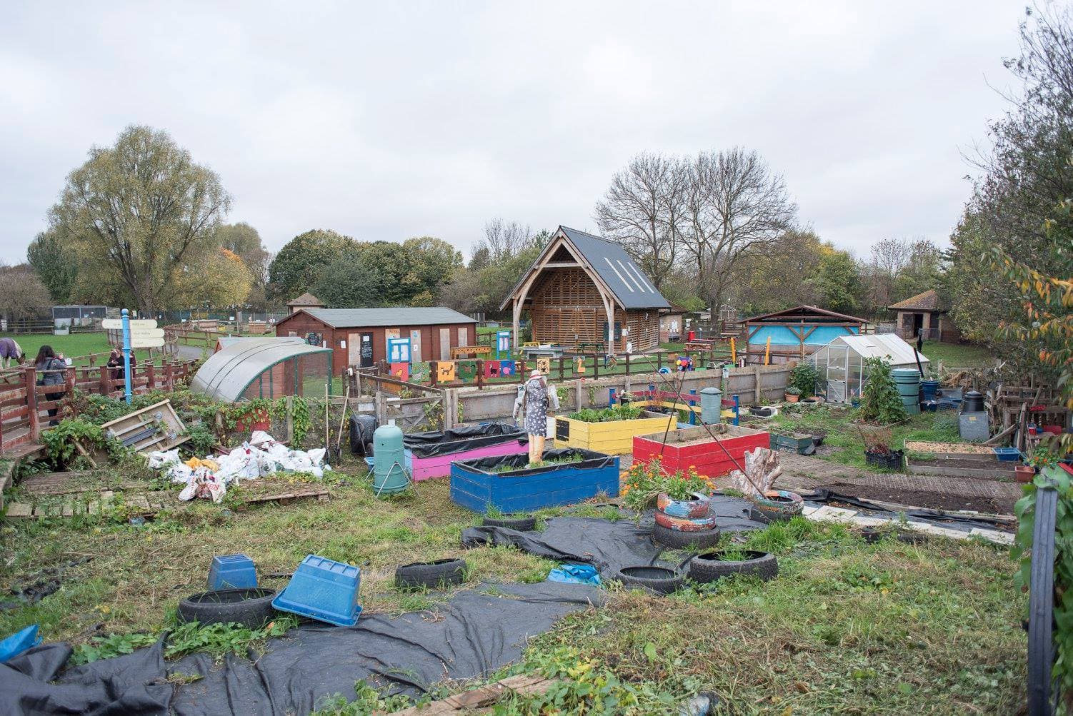 Newham City Farm - Photo