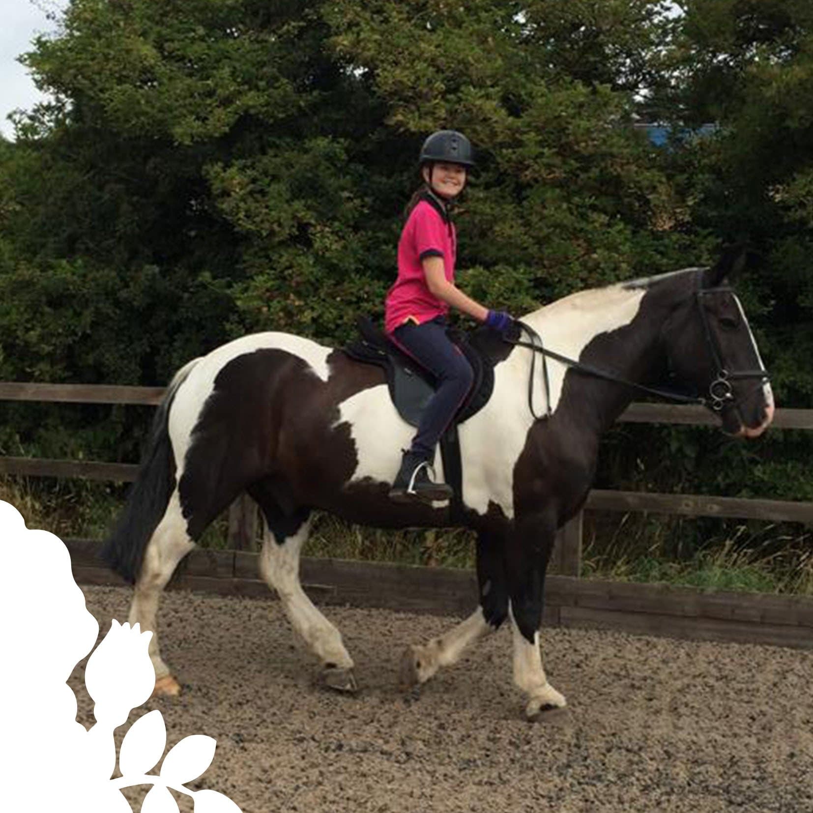 Happy Hooves Riding Centre
