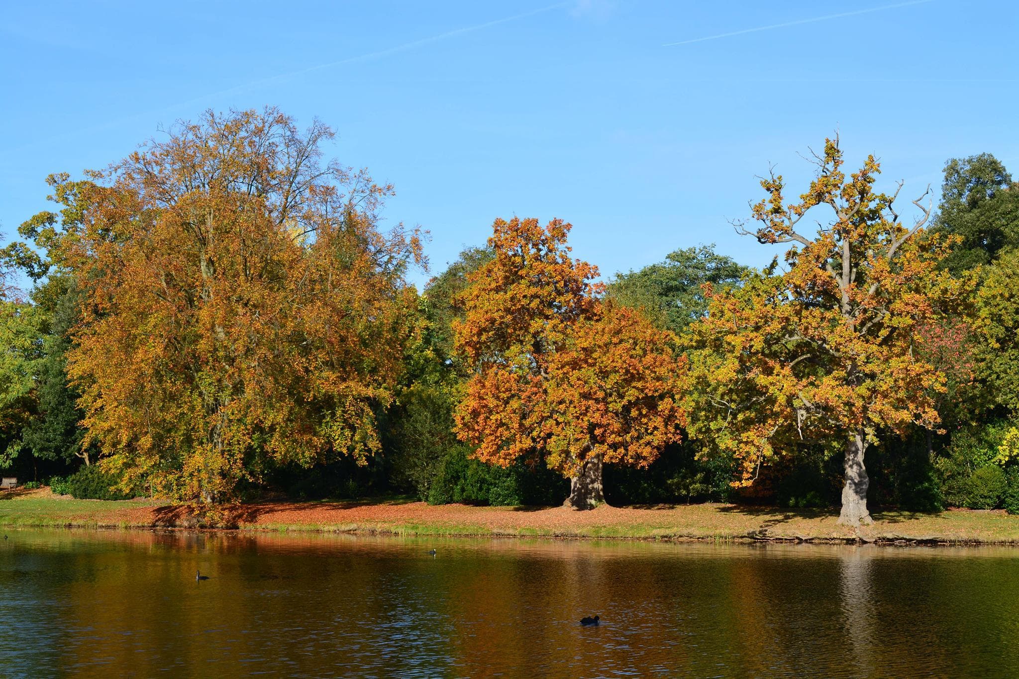Painshill