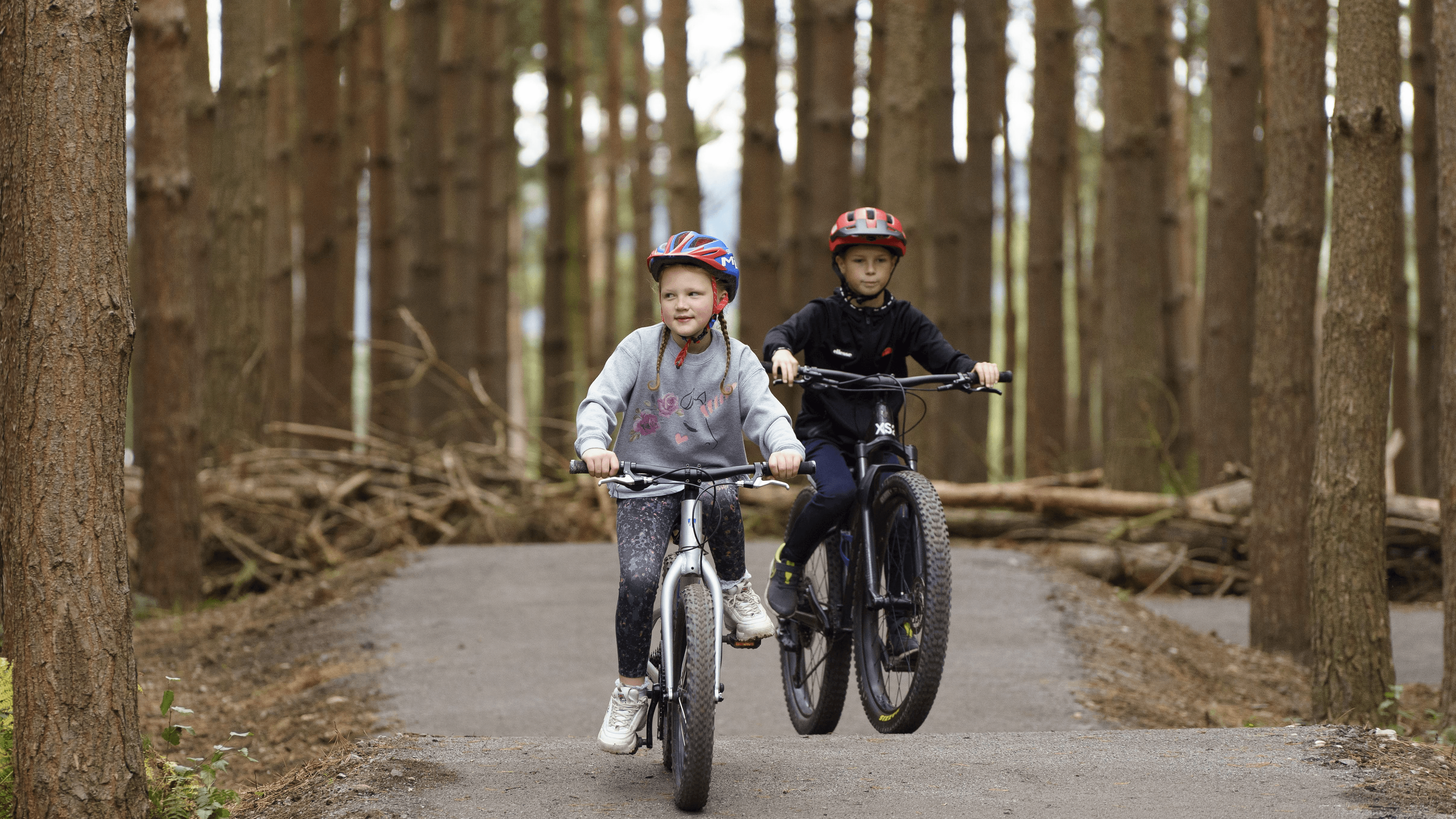 Cannock Chase Forest - Photo