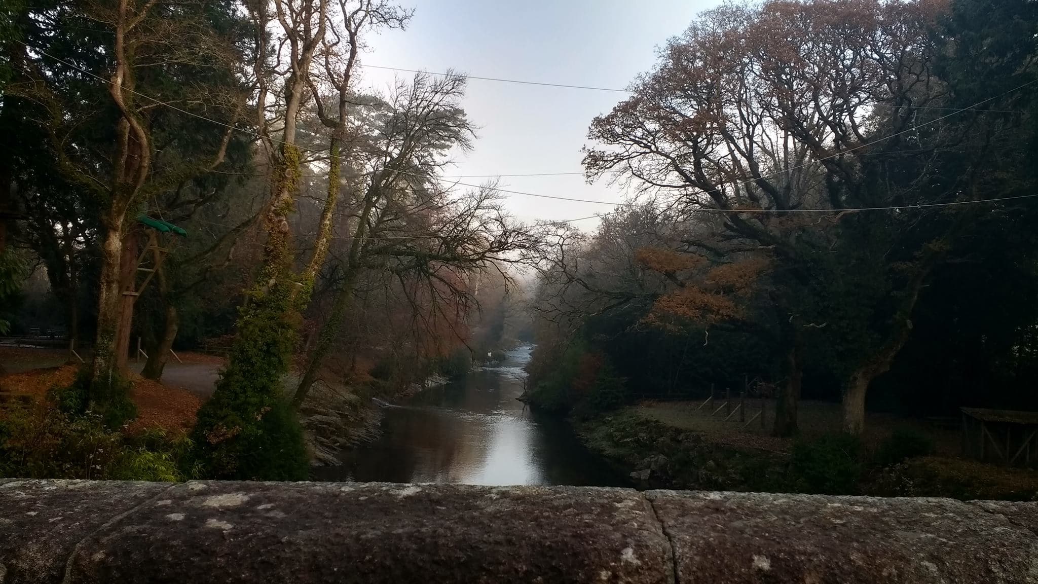 River Dart Country Park - Photo 1