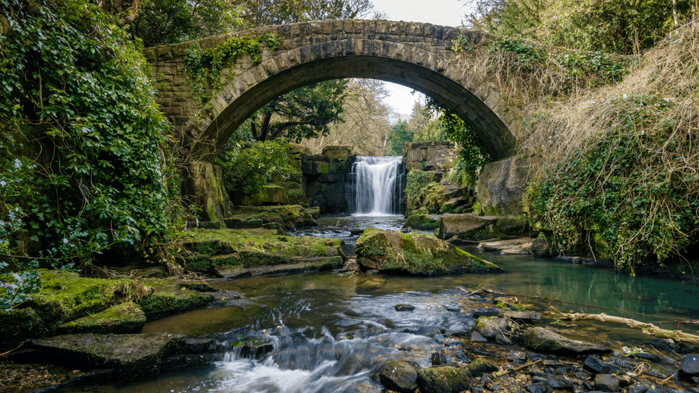 Jesmond Dene Newcastle - Photo