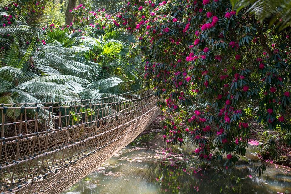 Abbotsbury Subtropical Gardens
