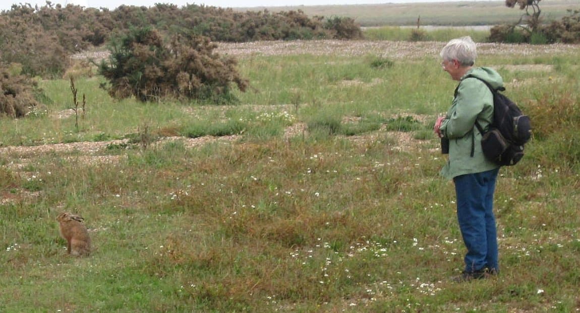 Havergate Island