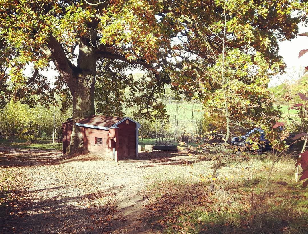 Aldenham Country Park