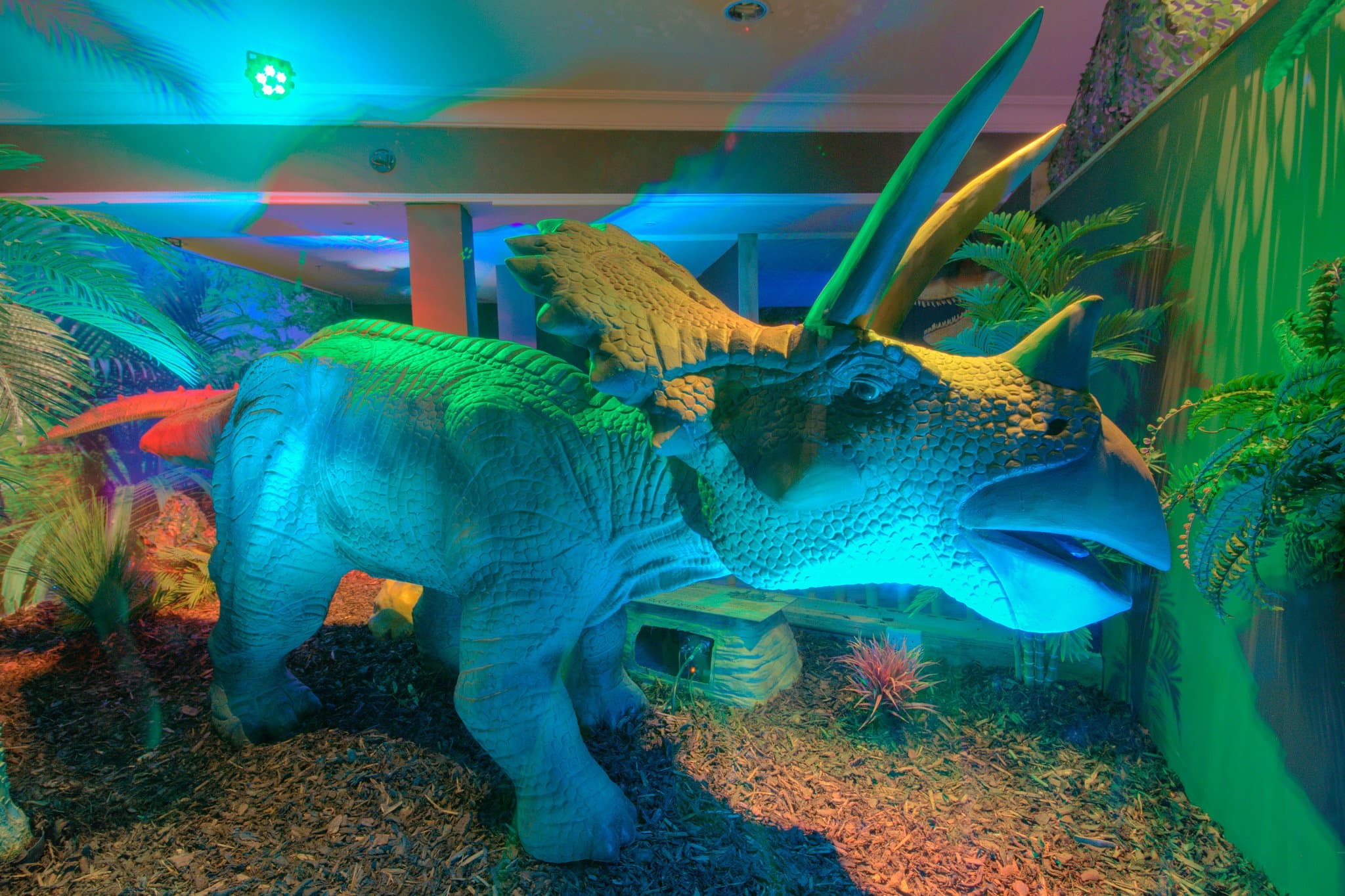 Jurassic Journey - Photo