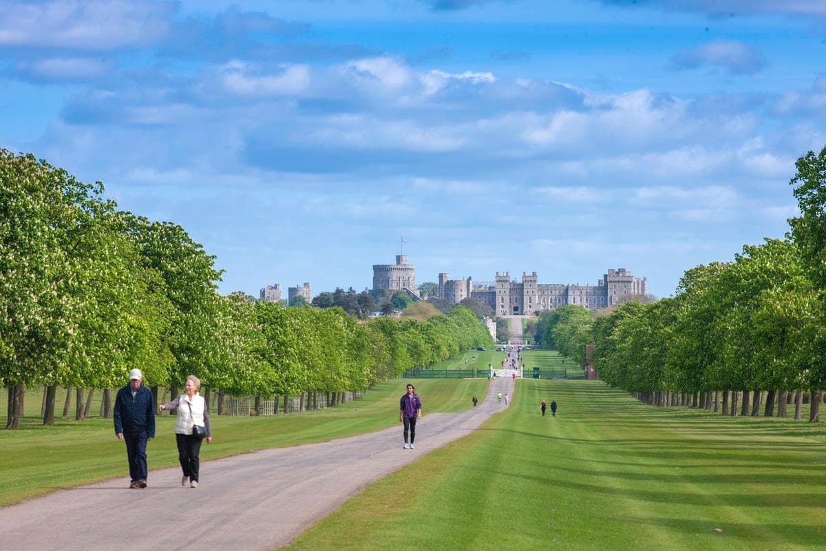 Windsor Great Park - Photo