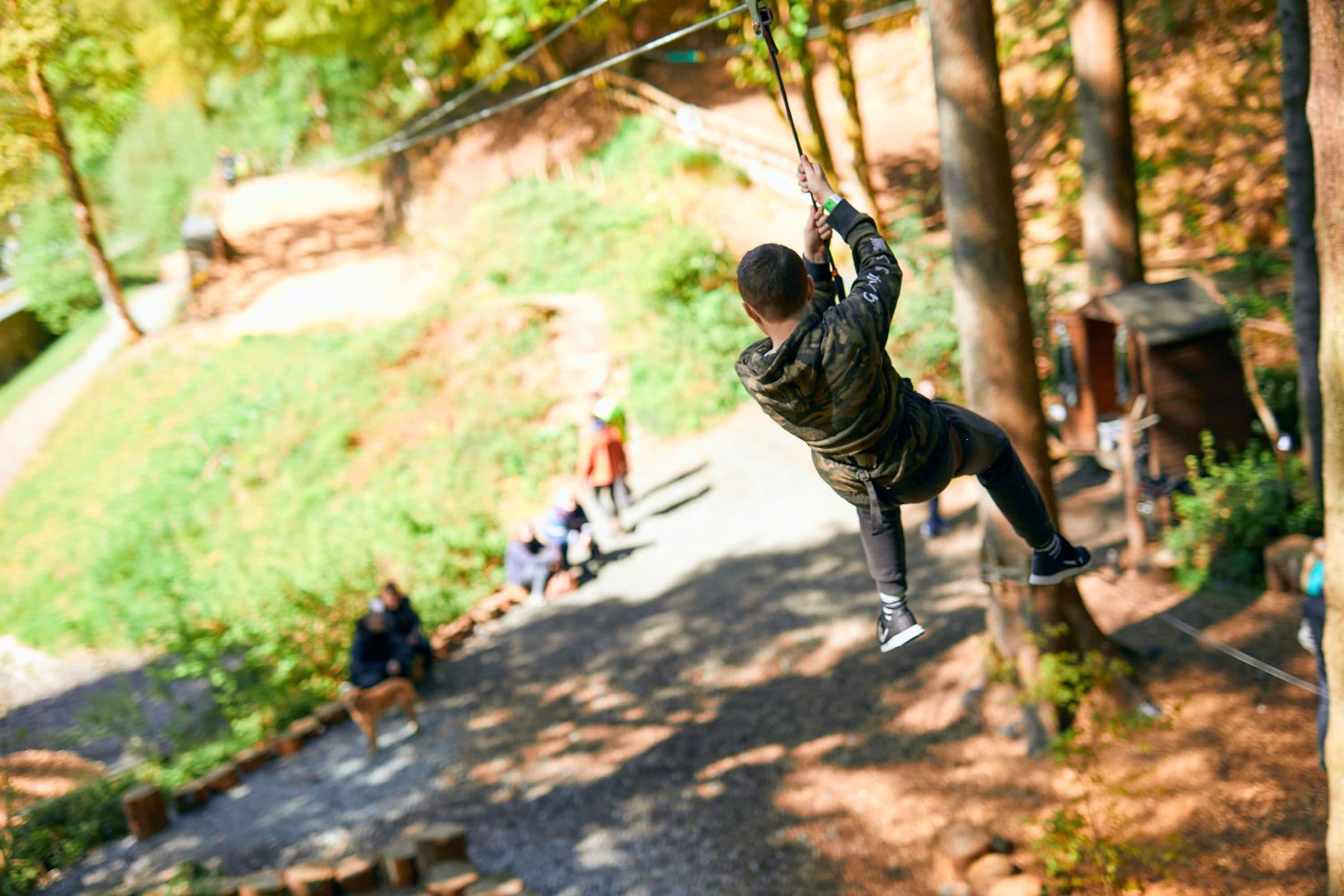 Go Ape Chessington - Photo 1