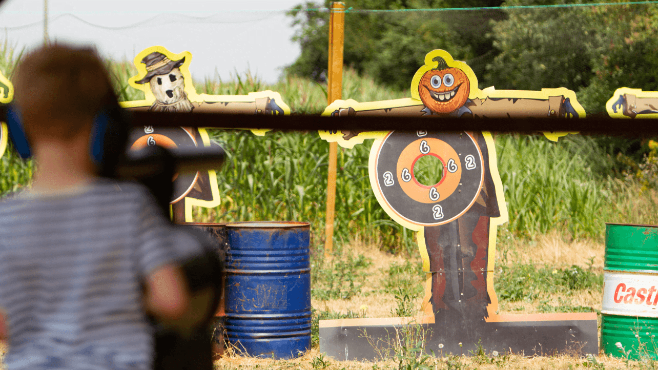 Skylark Maize Maze and Funyard - Photo